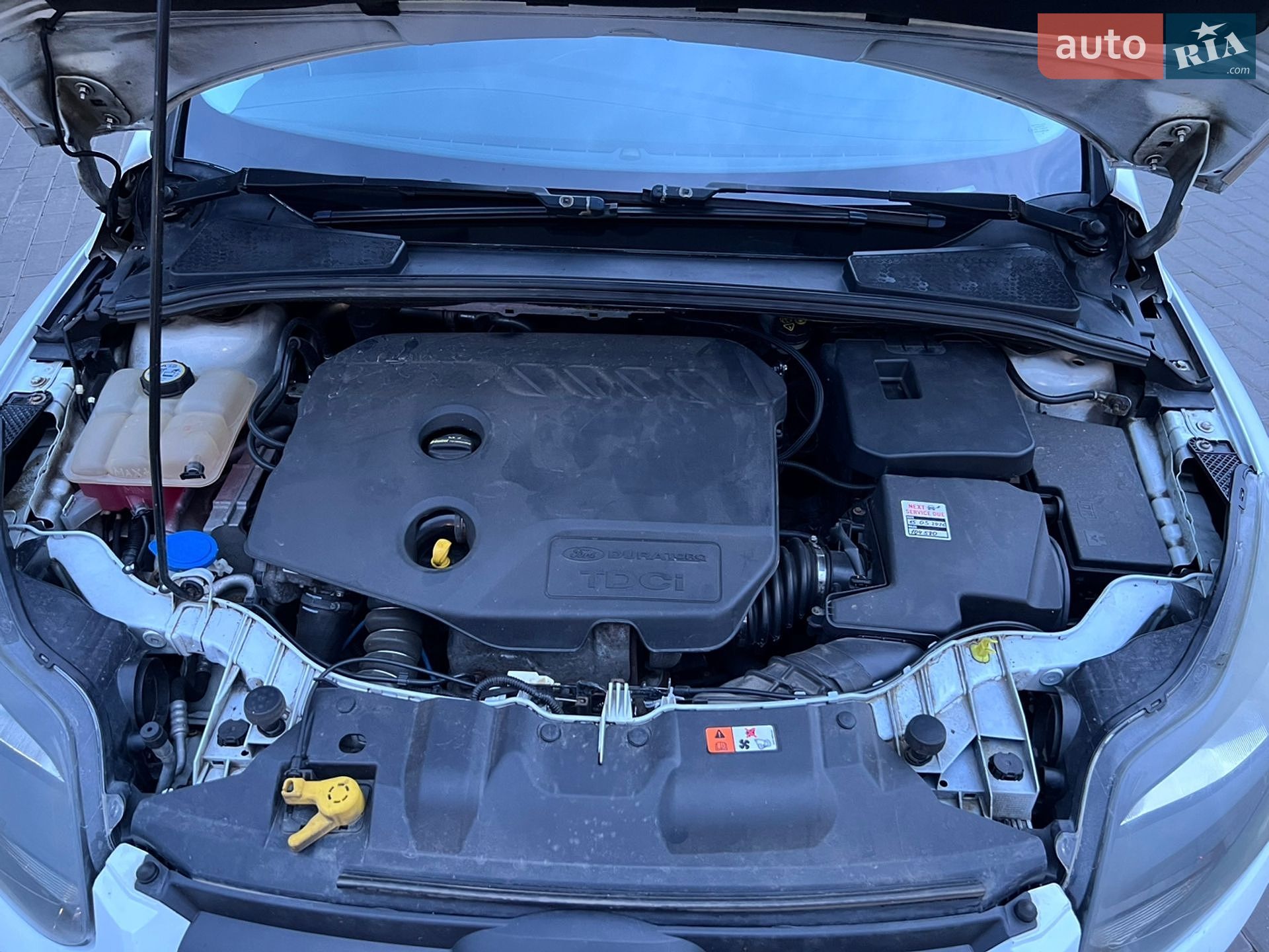 Ford Focus 2012 VIN WF0LXXGCBLCT29701 фото оголошення 17 з 19