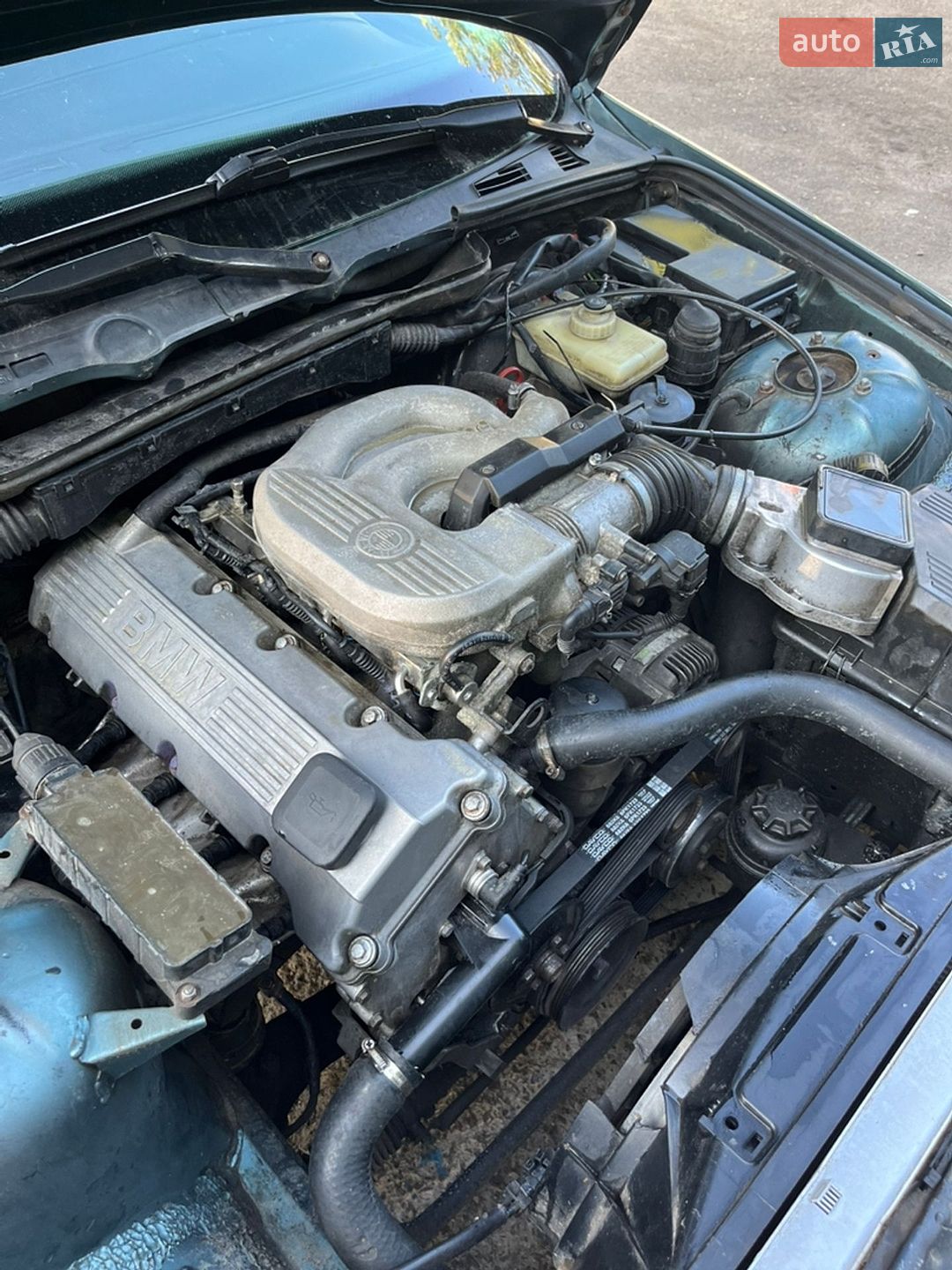 BMW 3 Series 1995 VIN WBACA91060JF22705 фото оголошення 6 з 9