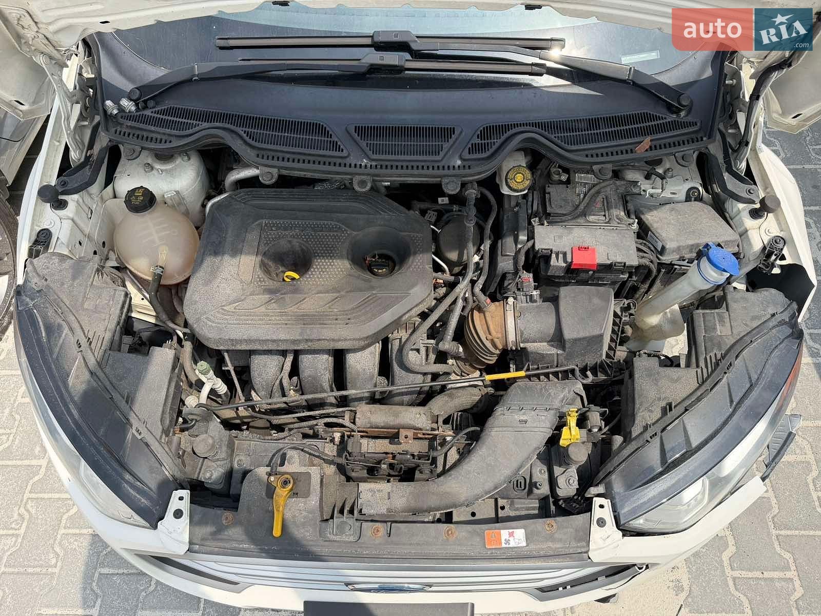 Ford EcoSport 2018 VIN MAJ6P1UL8JC188904 фото оголошення 16 з 22