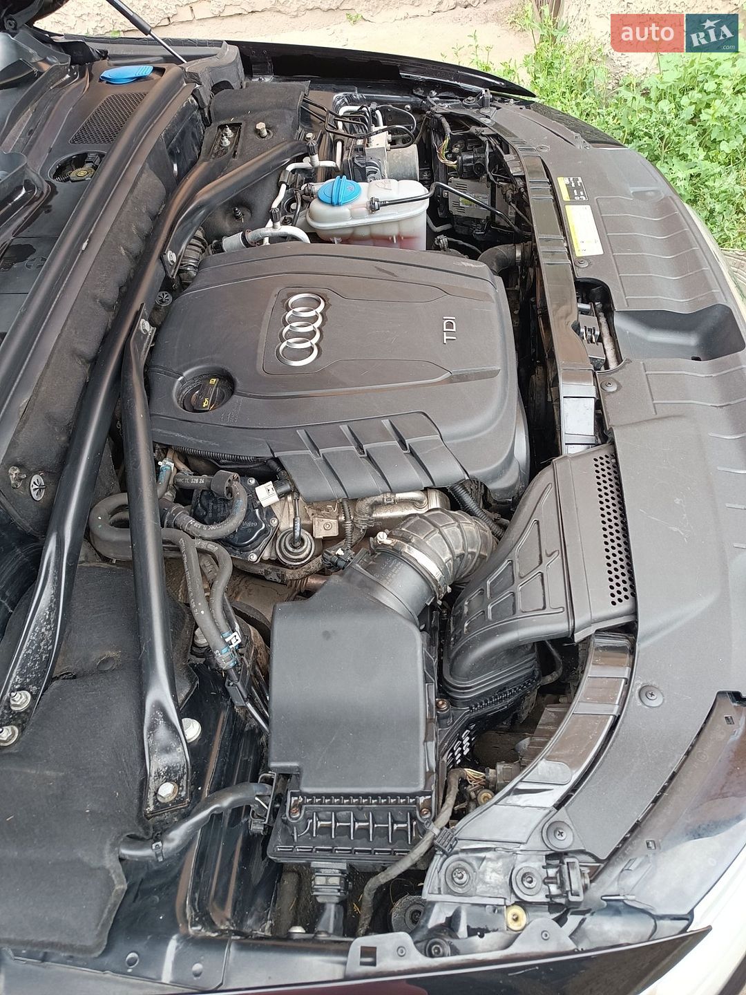 Audi Q5 2014 VIN WAUZZZ8R1EA116052 фото оголошення 13 з 14