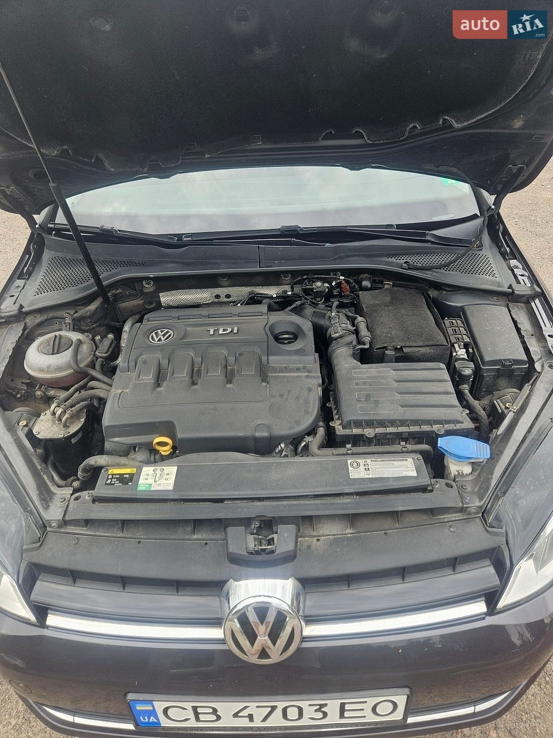 Volkswagen Golf 2015 VIN WVWZZZAUZGP564767 фото оголошення 10 з 10