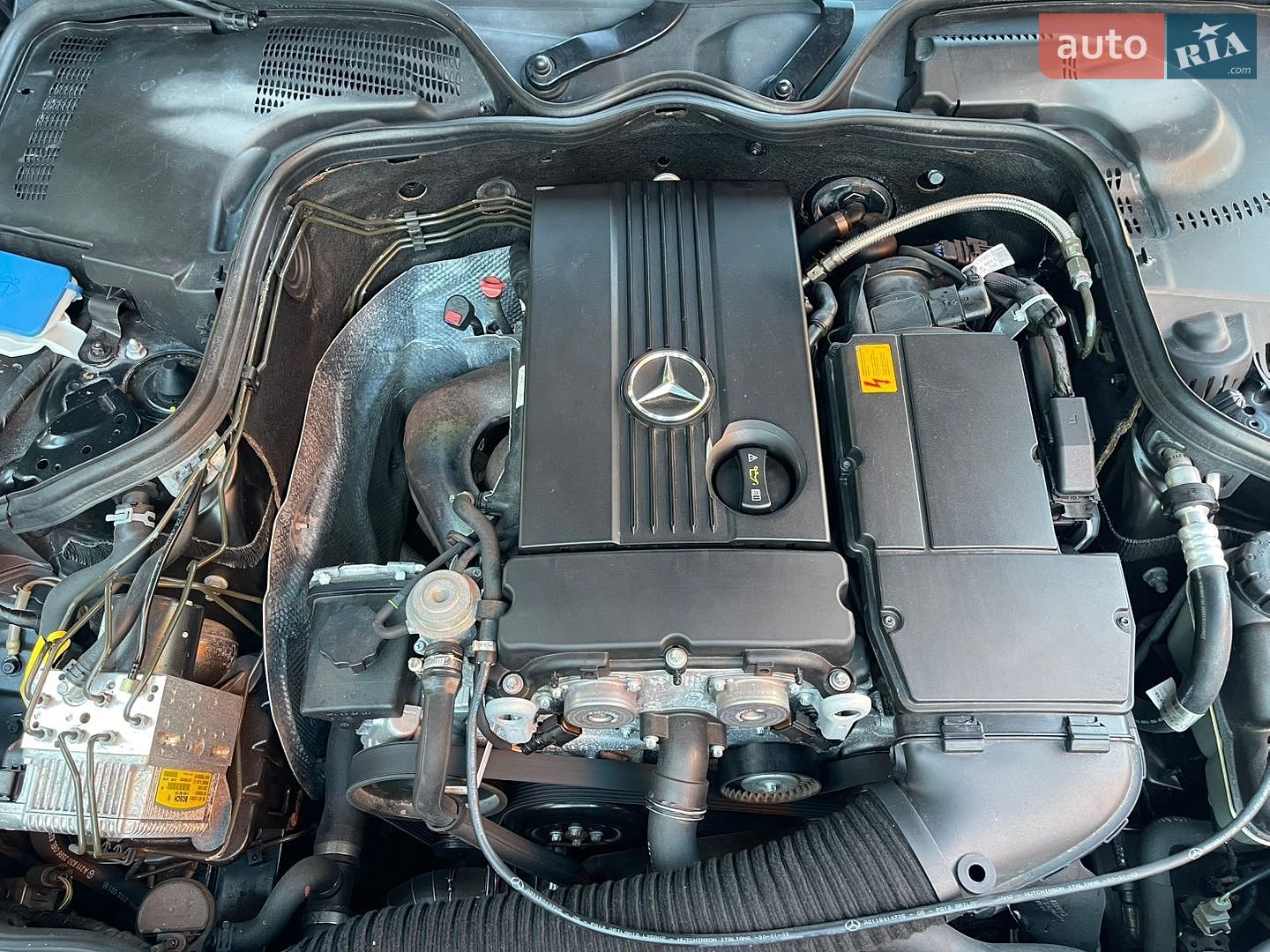 Mercedes-Benz E-Class 2006 VIN WDB2110421A939445 фото оголошення 69 з 78