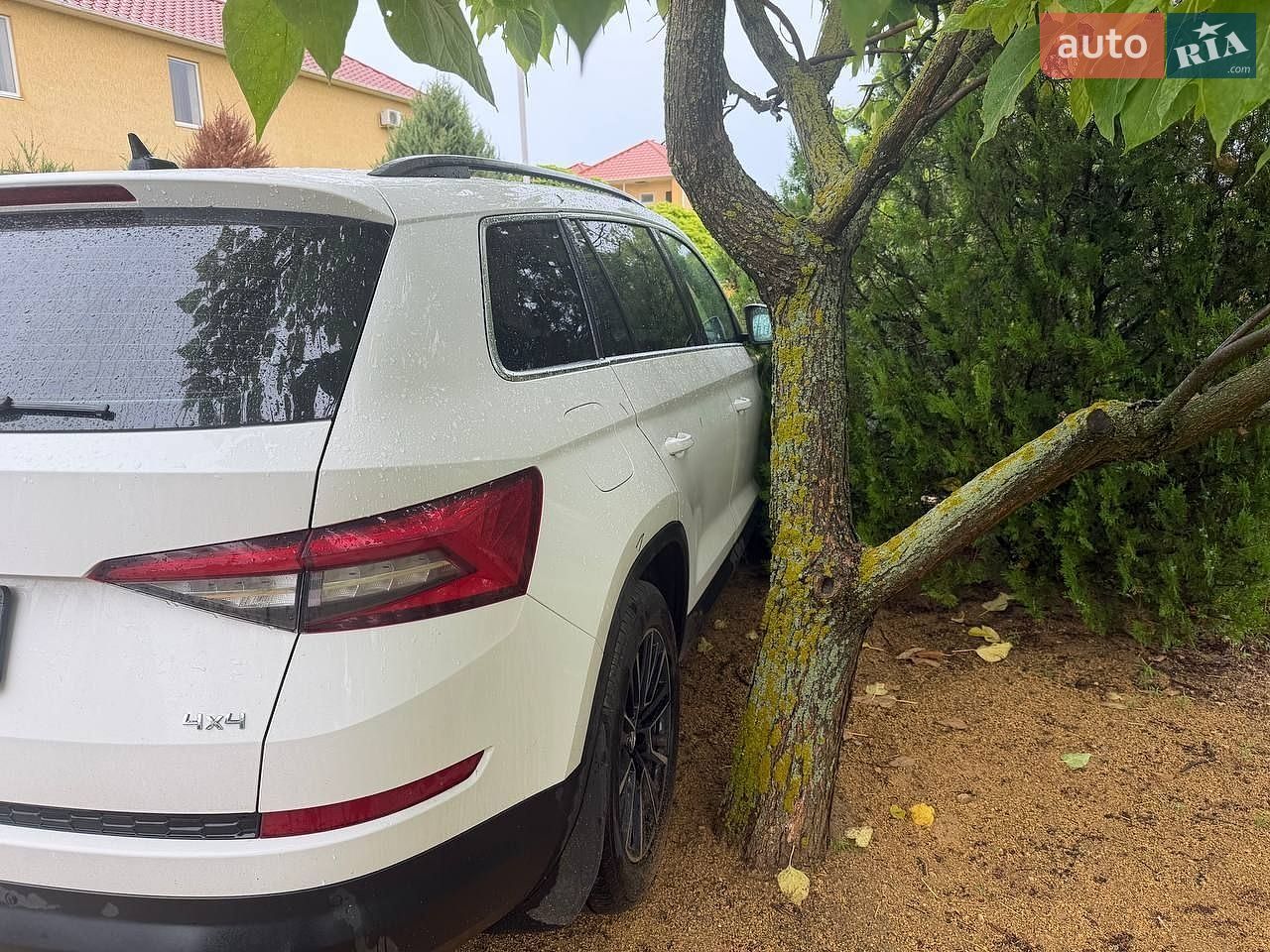 Skoda Kodiaq 2020 VIN TMBLD6NS2MB400523 фото оголошення 12 з 18