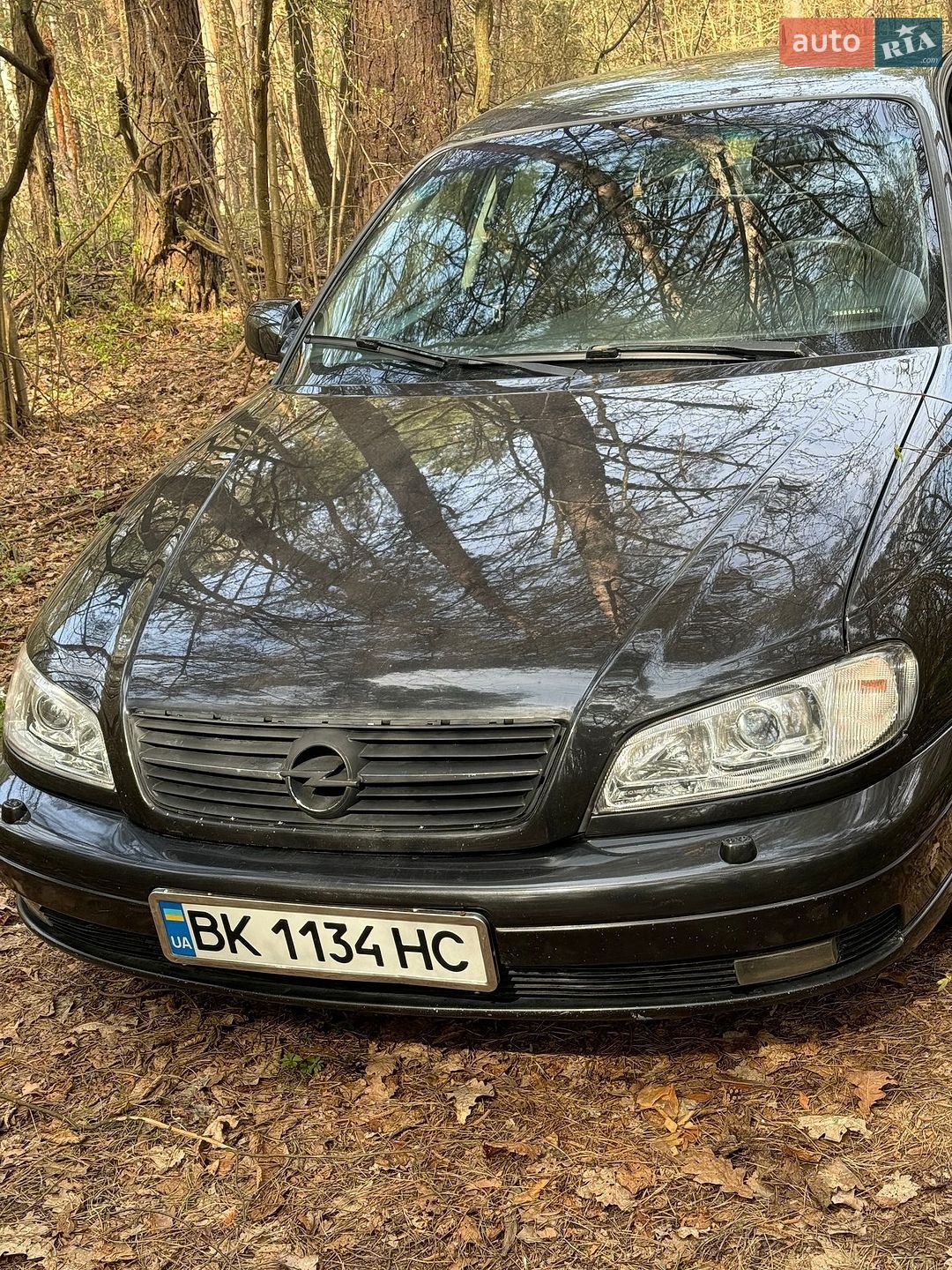 Opel Omega 1999 VIN W0L0VBP69Y1065687 фото оголошення 2 з 21