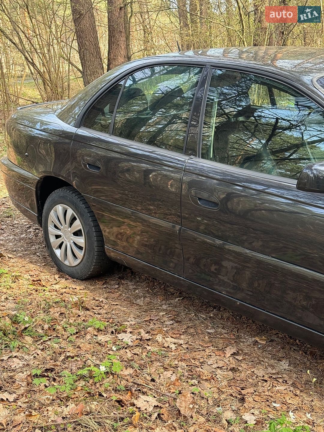 Opel Omega 1999 VIN W0L0VBP69Y1065687 фото оголошення 4 з 21