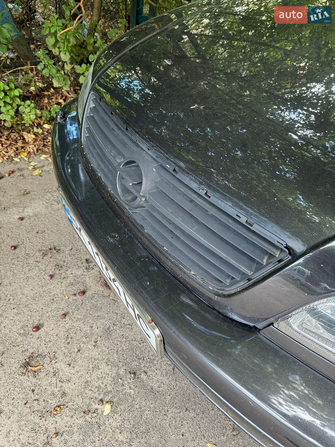 Opel Omega 1999 VIN W0L0VBP69Y1065687 фото оголошення 18 з 21