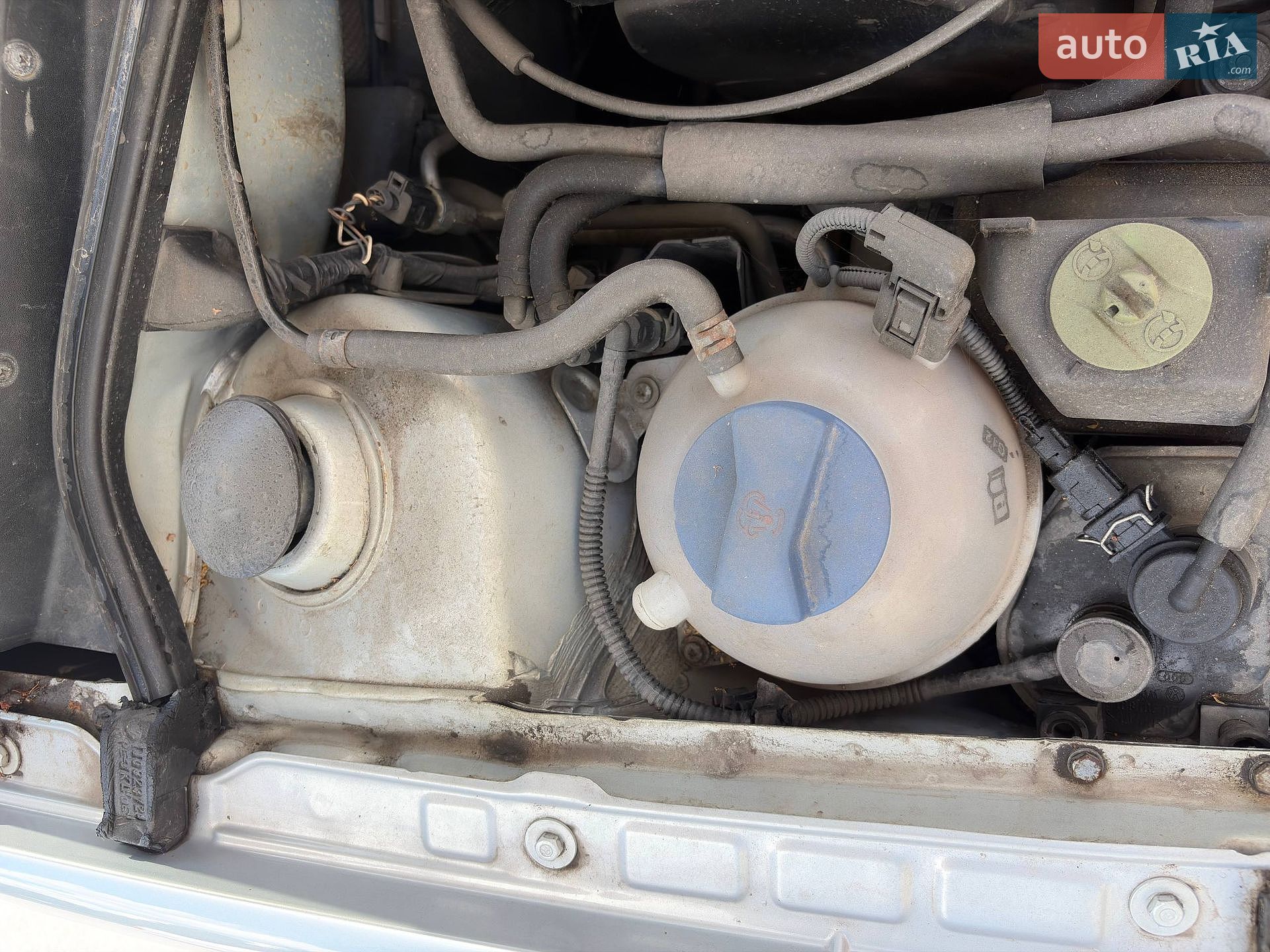 Volkswagen Bora 1999 VIN WVWZZZ1JZXW699714 фото оголошення 26 з 30