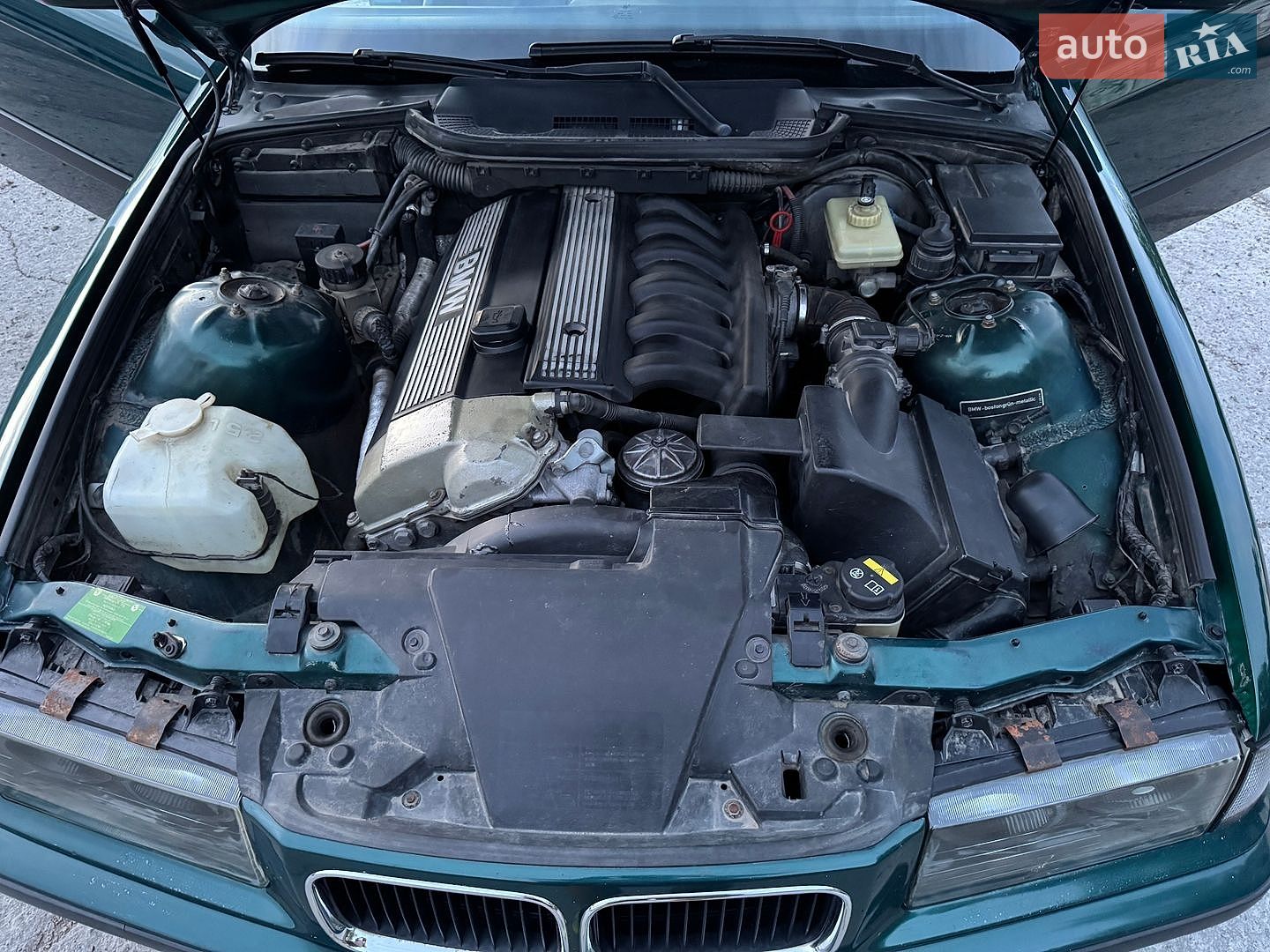 BMW 3 Series 1995 VIN WBABF51050EP02849 фото оголошення 28 з 36