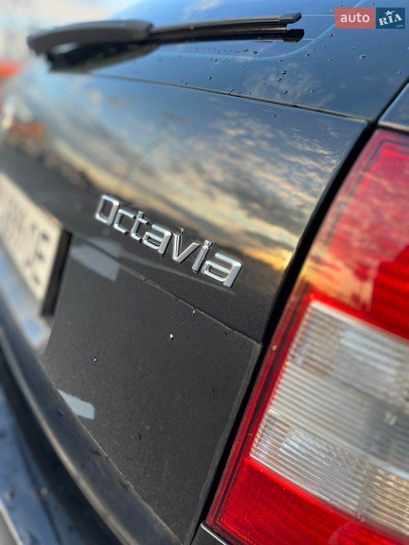 Skoda Octavia 2011 VIN TMBHJ61Z7C8020400 фото оголошення 27 з 47