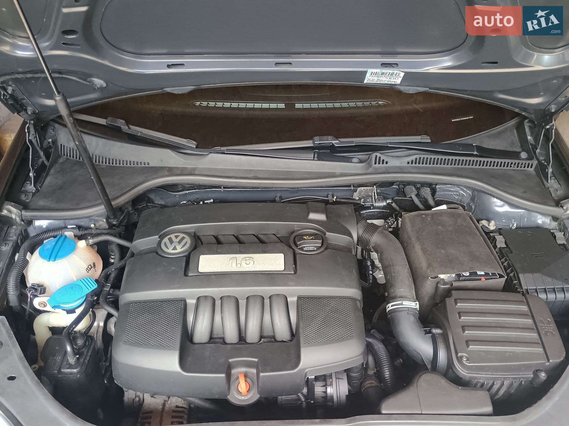Volkswagen Golf 2009 VIN WVWZZZ1KZ9M361903 фото оголошення 24 з 27