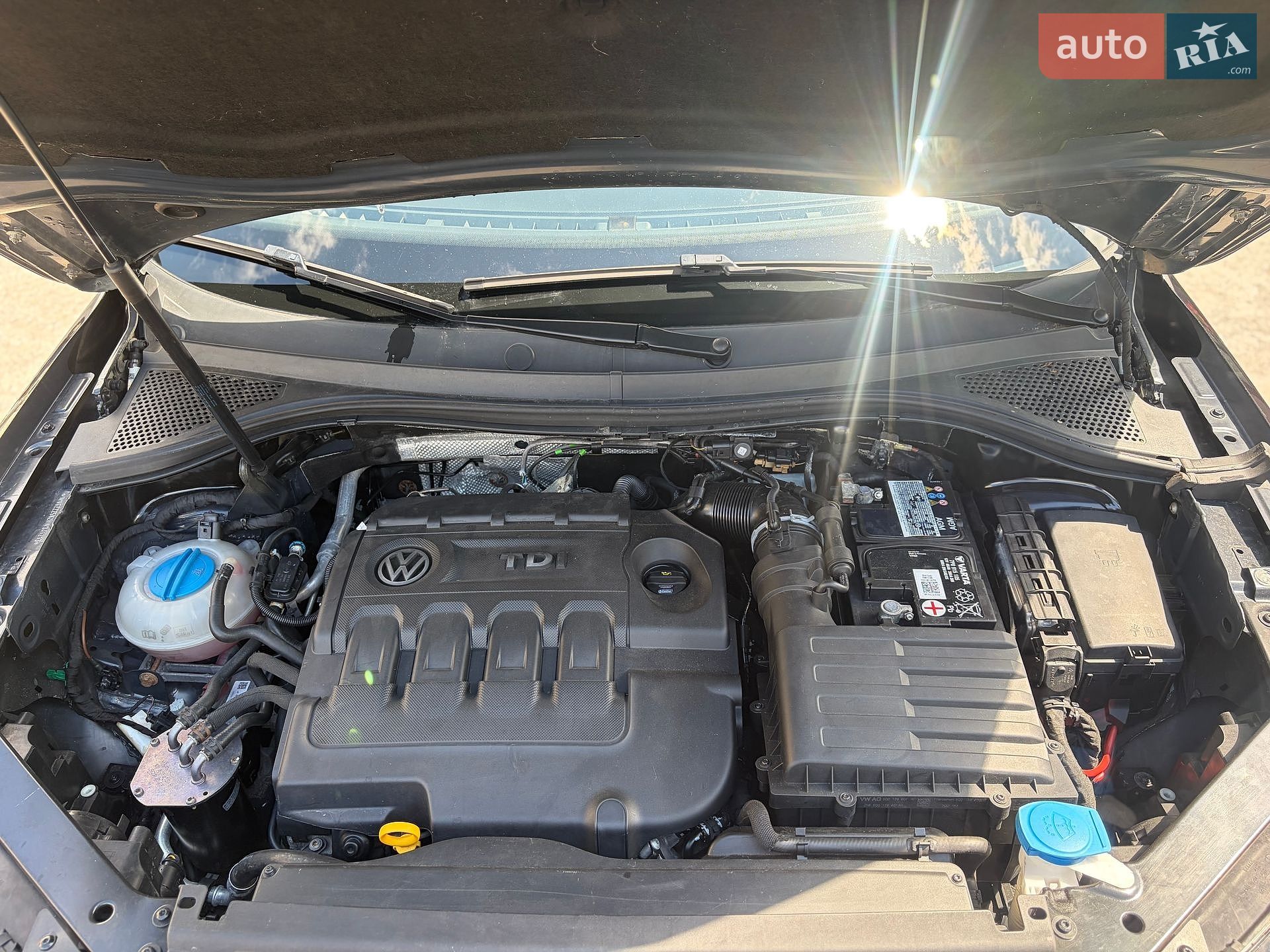 Volkswagen Tiguan 2016 VIN WVGZZZ5NZHW341213 фото оголошення 37 з 38