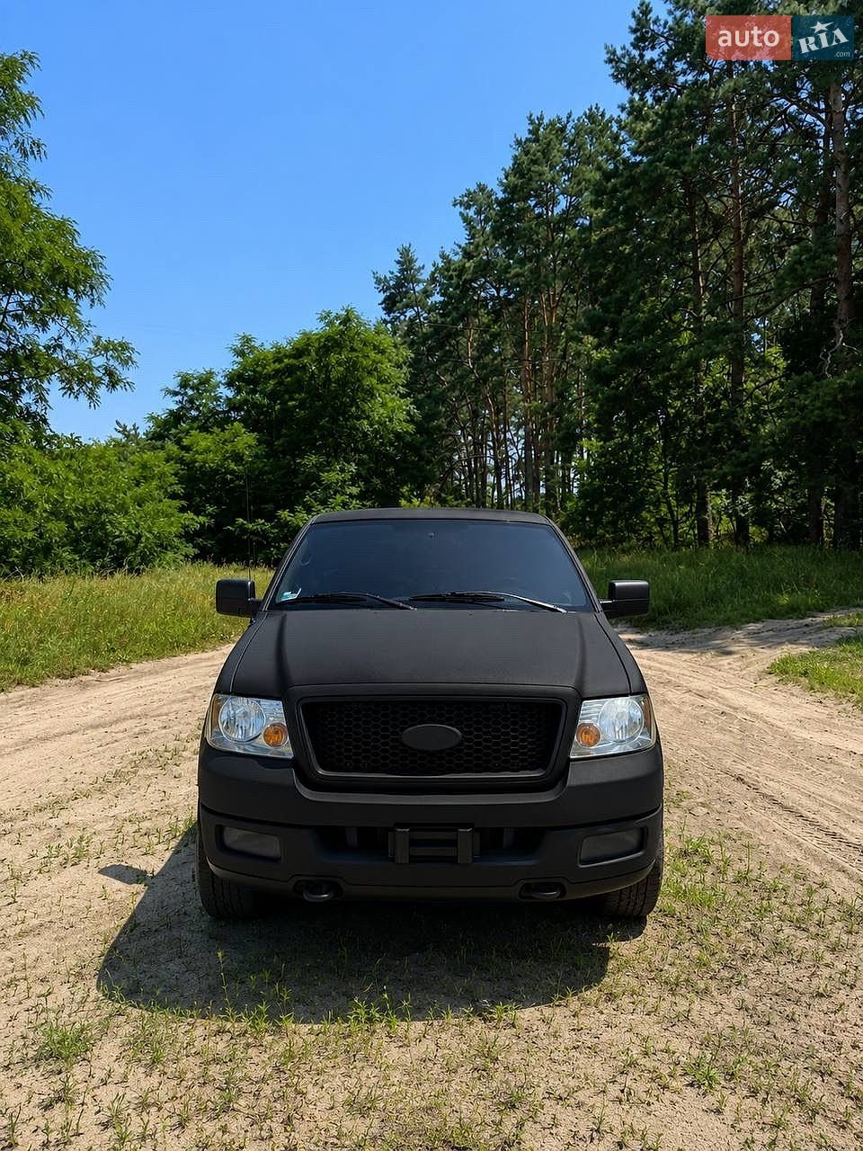 Ford F-150 2004 VIN 1FTPX14594FA03763 фото оголошення 7 з 7