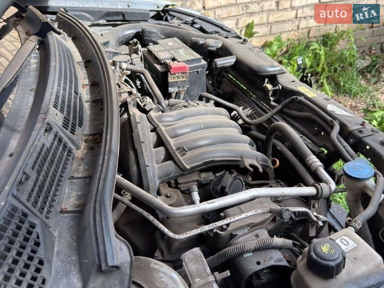 Nissan Qashqai 2008 VIN SJNFAAJ10U1197919 фото оголошення 15 з 18