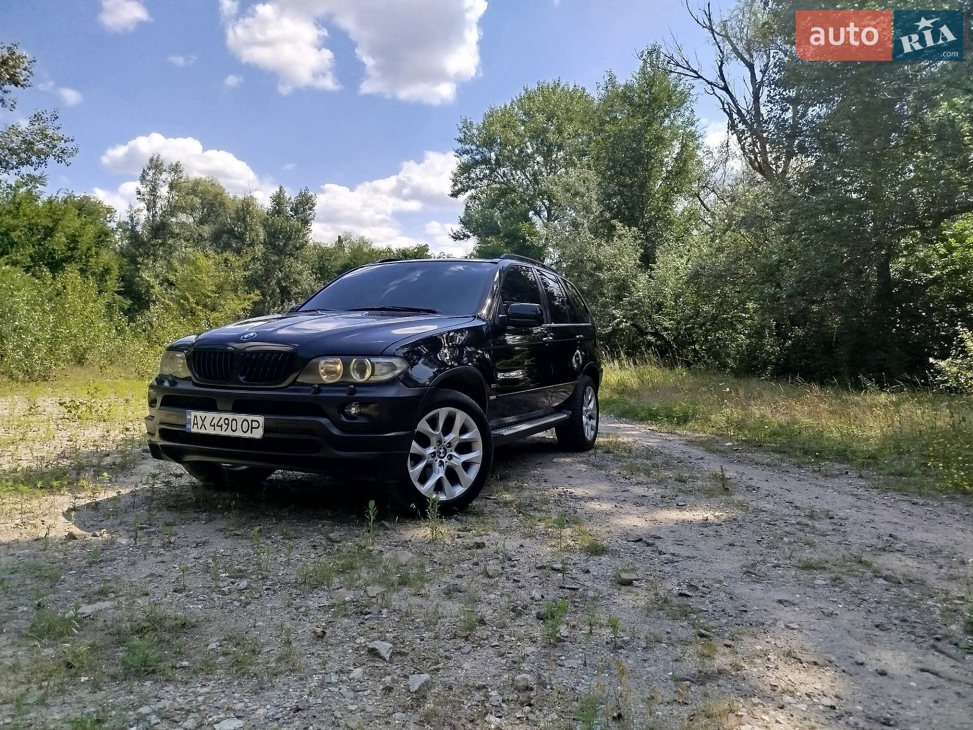 BMW X5 2005 VIN WBAFB71070LX55993 фото оголошення 3 з 19