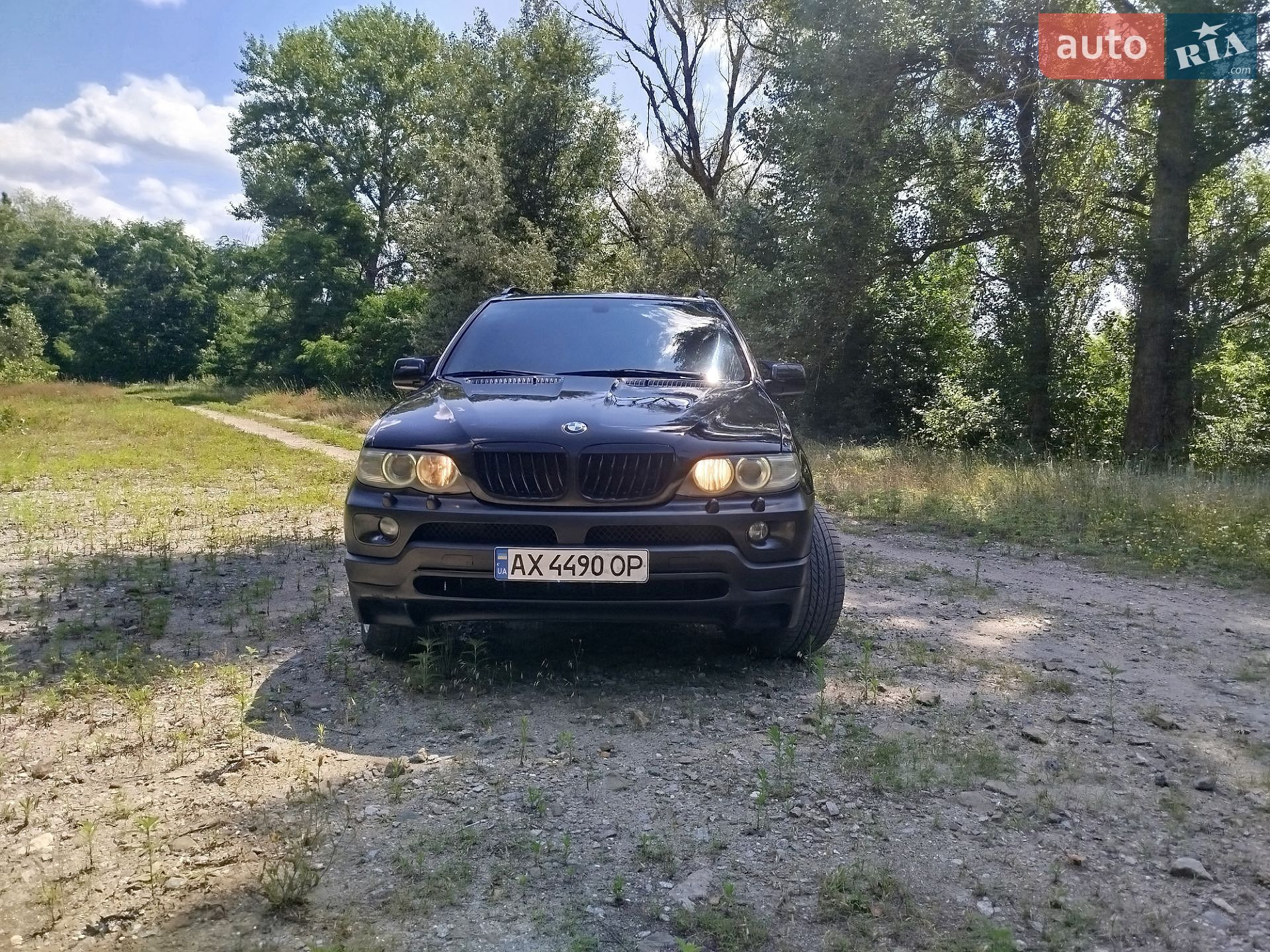 BMW X5 2005 VIN WBAFB71070LX55993 фото оголошення 5 з 19