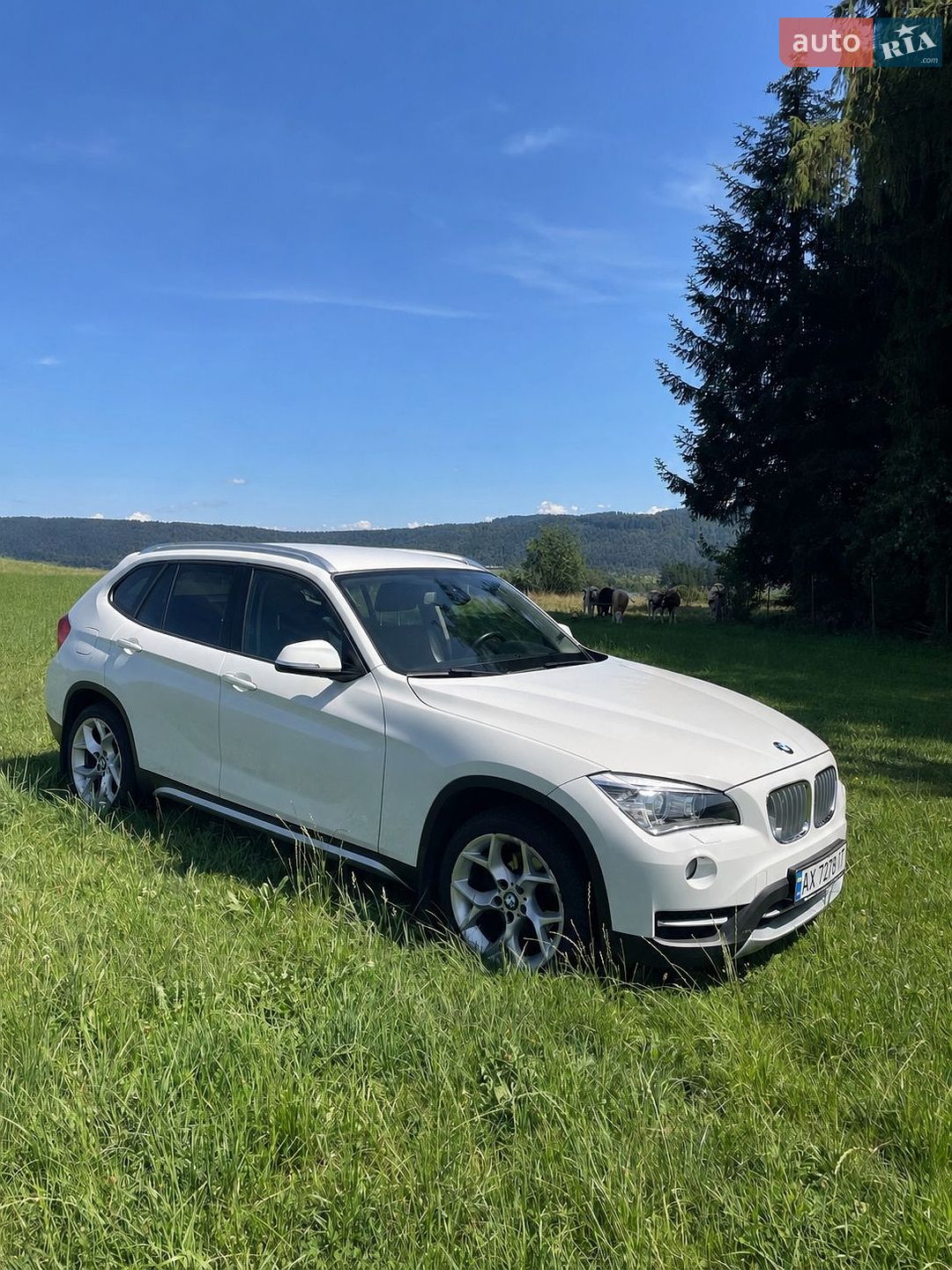 BMW X1 2013 VIN WBAVP710X0VW30570 фото оголошення 13 з 33