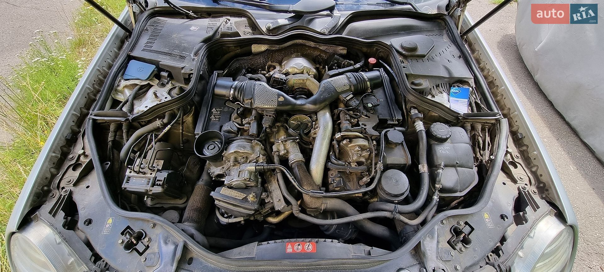 Mercedes-Benz E-Class 2007 VIN WDB2112201B111252 фото оголошення 4 з 10