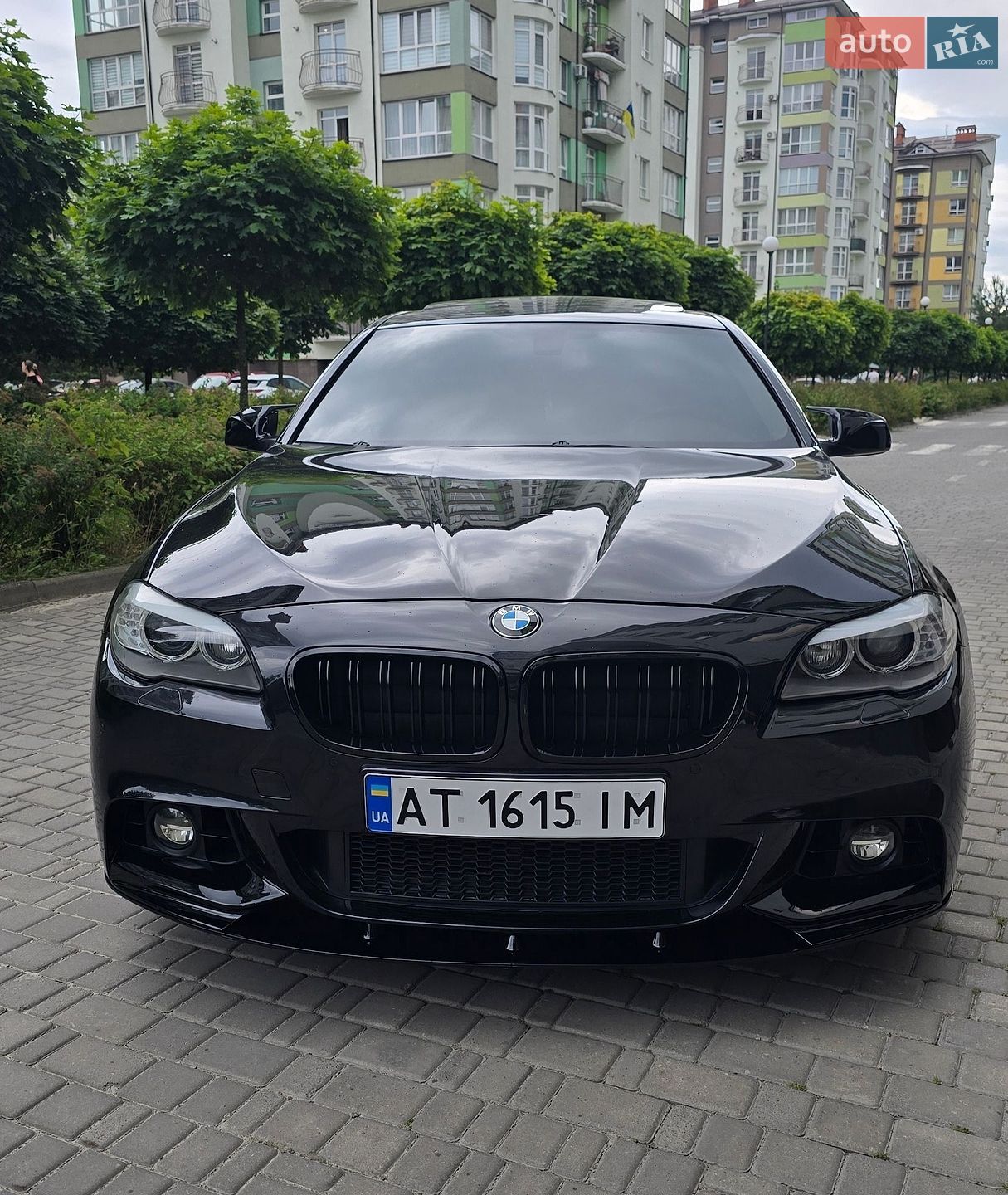 BMW 5 Series 2013 VIN WBAXH5C58DD110480 фото оголошення 3 з 24