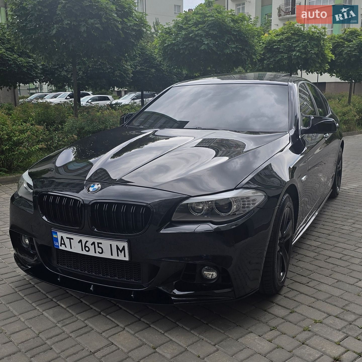 BMW 5 Series 2013 VIN WBAXH5C58DD110480 фото оголошення 4 з 24