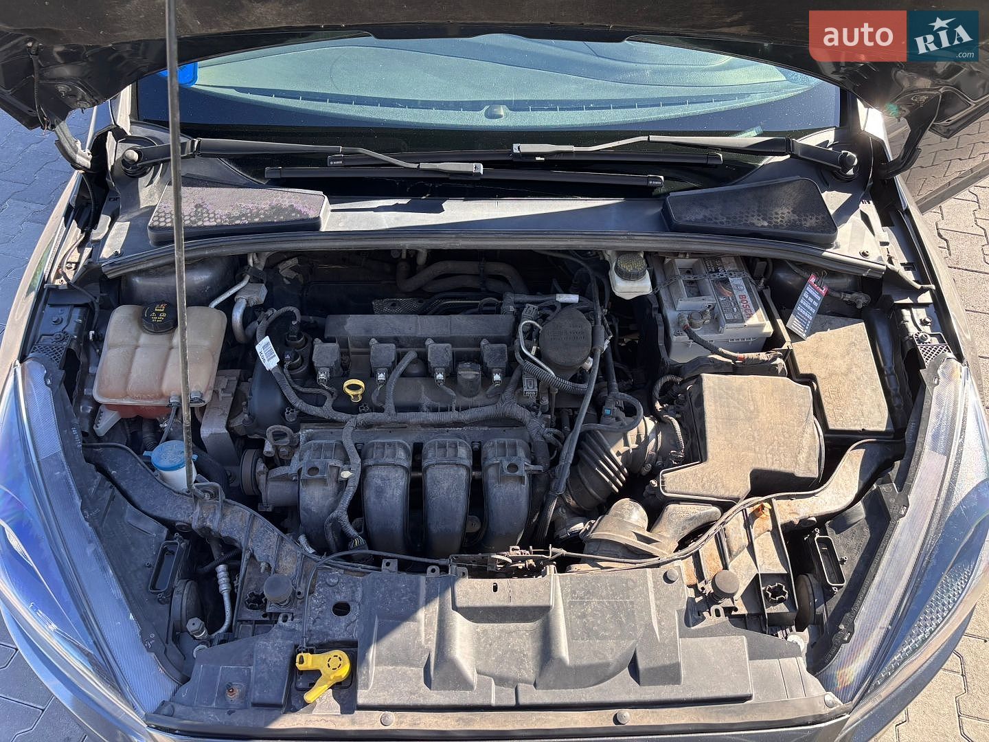 Ford Focus 2017 VIN 1FADP3F27JL204503 фото оголошення 22 з 26
