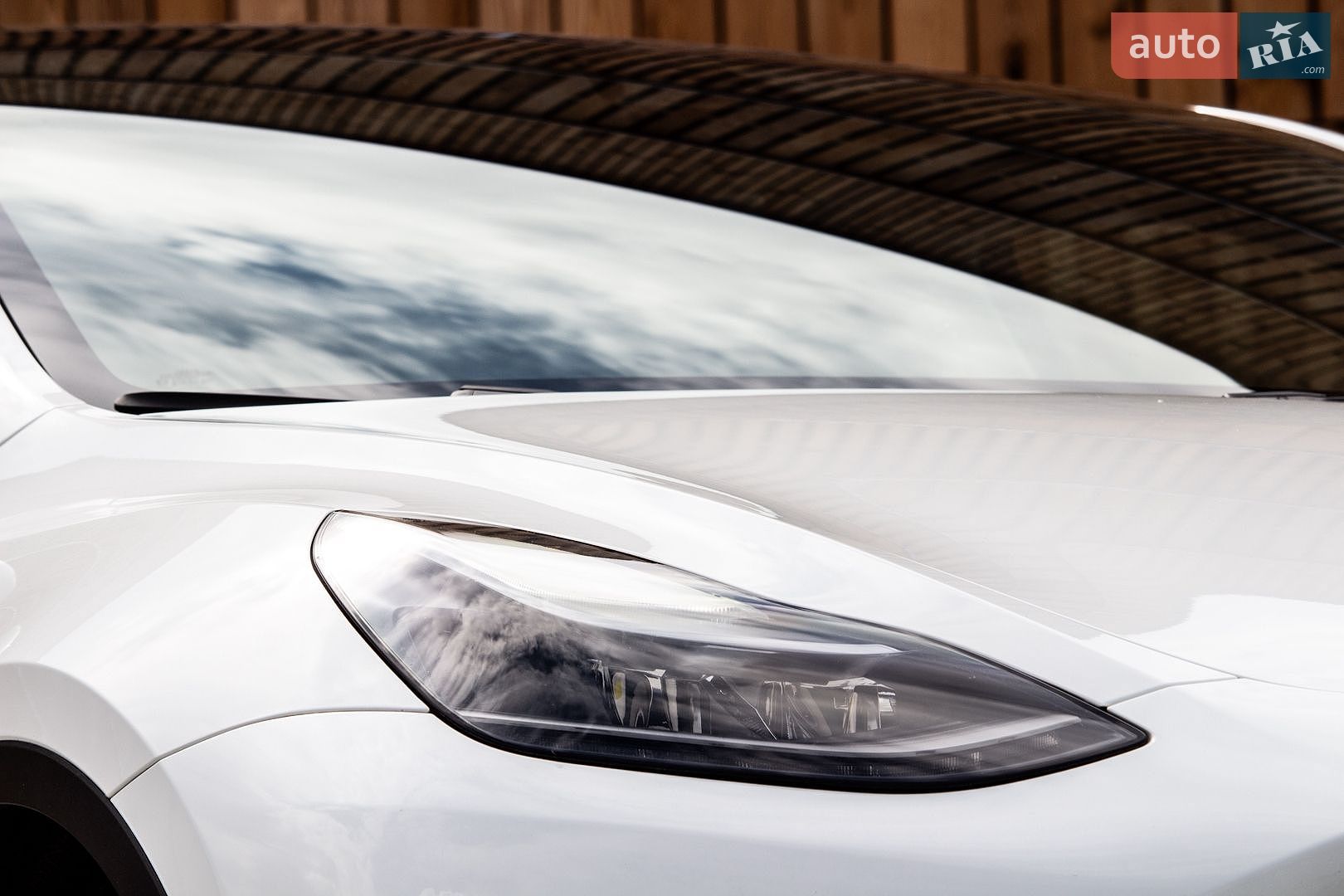 Tesla Model Y 2024 VIN 7SAYGDED6RF098213 фото оголошення 23 з 67
