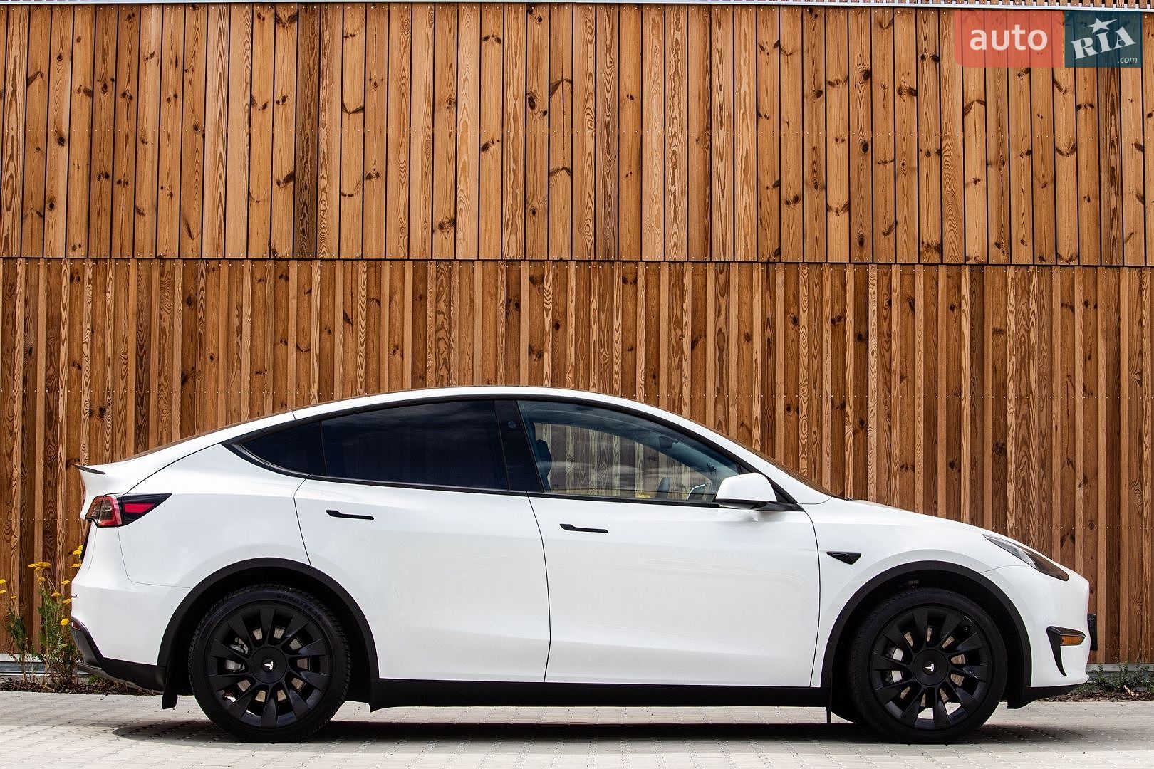 Tesla Model Y 2024 VIN 7SAYGDED6RF098213 фото оголошення 13 з 67