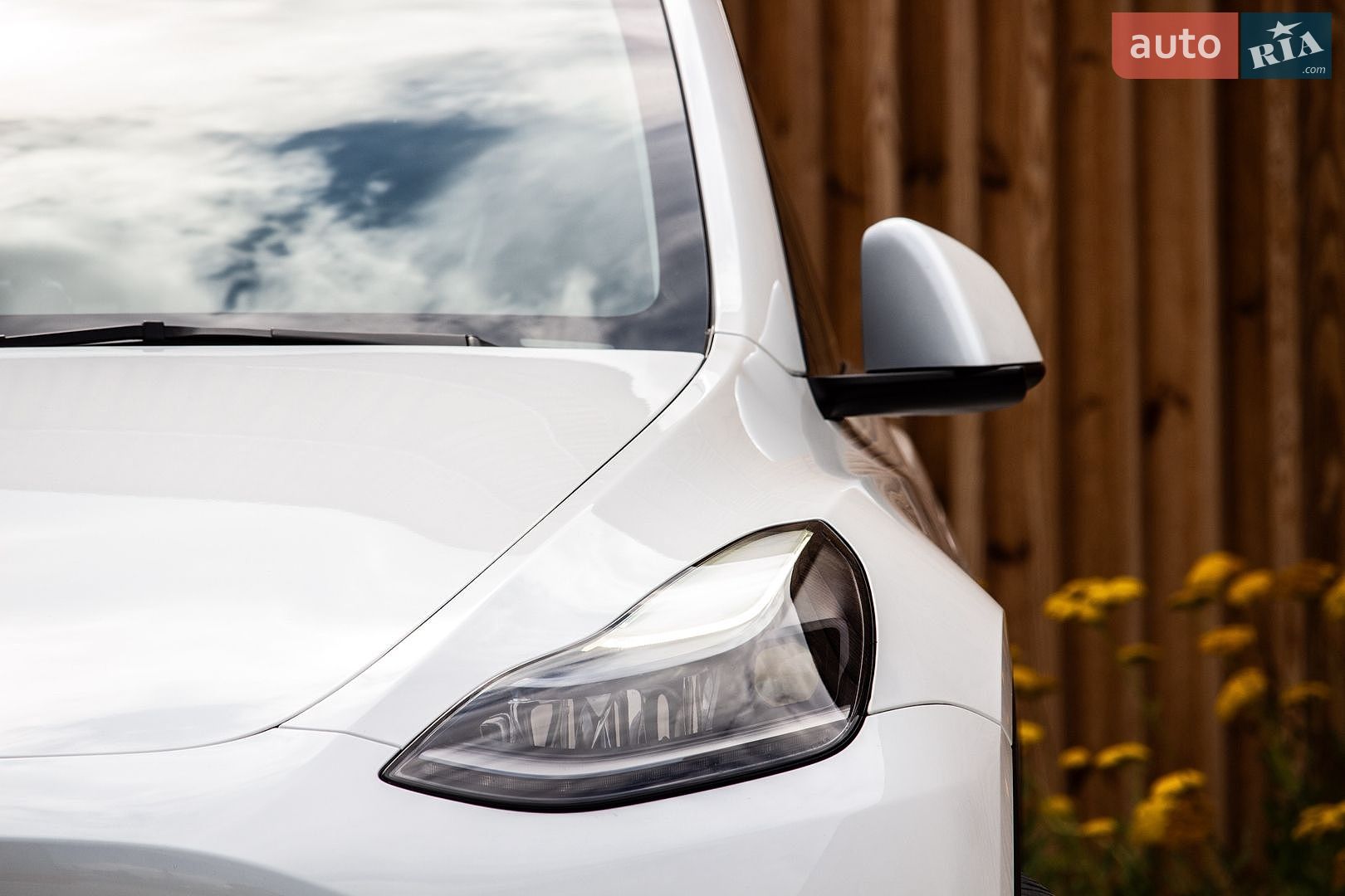 Tesla Model Y 2024 VIN 7SAYGDED6RF098213 фото оголошення 27 з 67