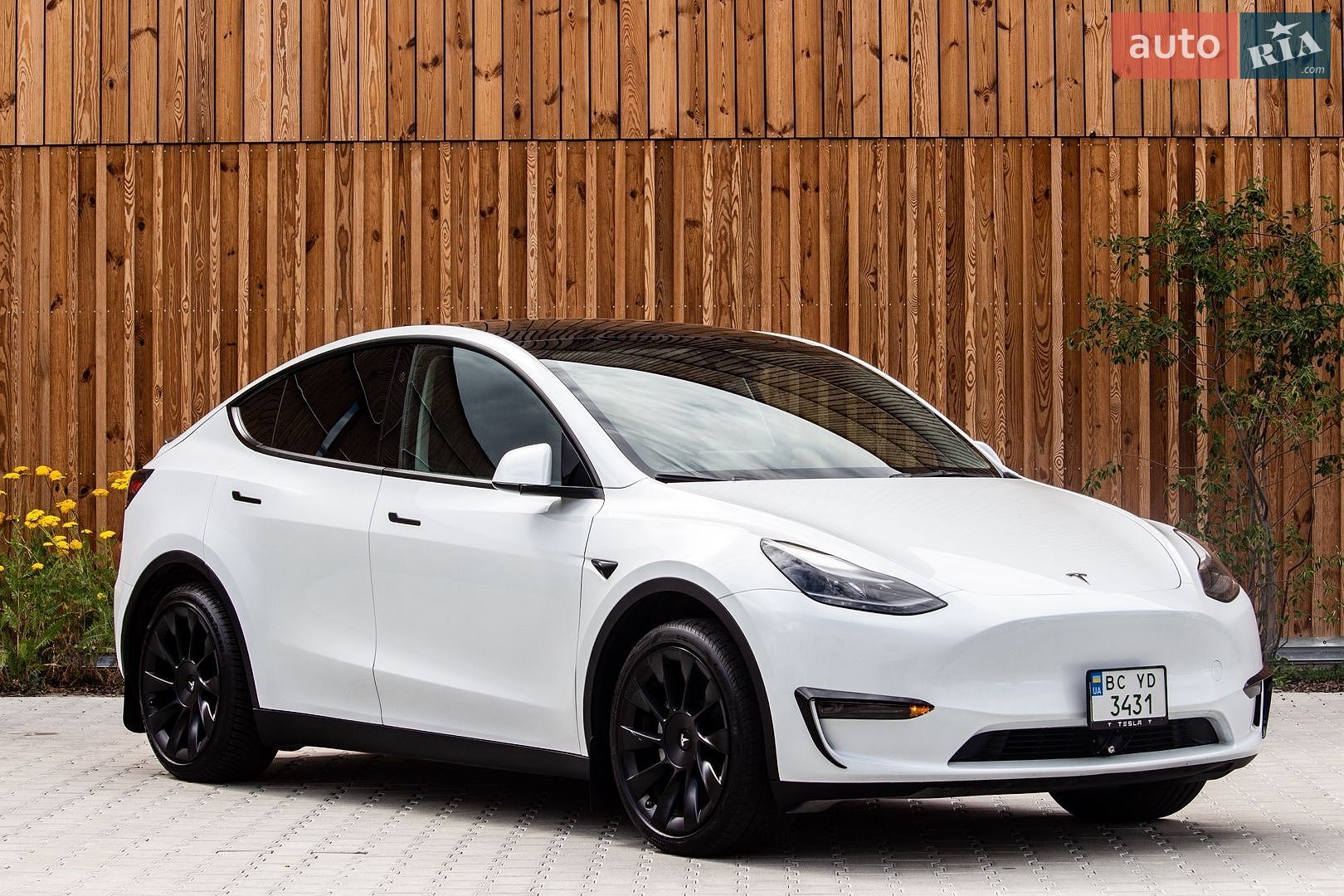 Tesla Model Y 2024 VIN 7SAYGDED6RF098213 фото оголошення 11 з 67