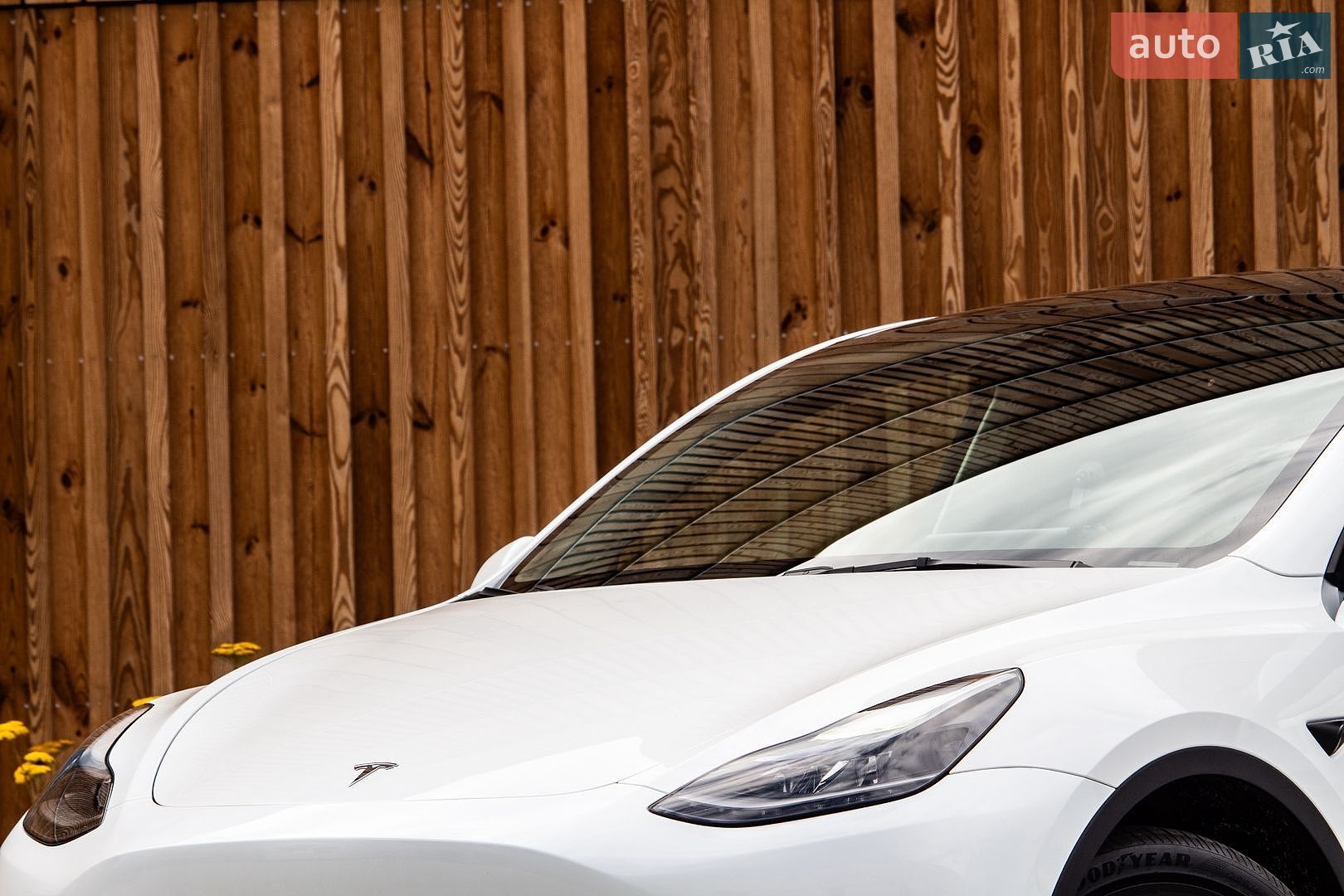 Tesla Model Y 2024 VIN 7SAYGDED6RF098213 фото оголошення 15 з 67