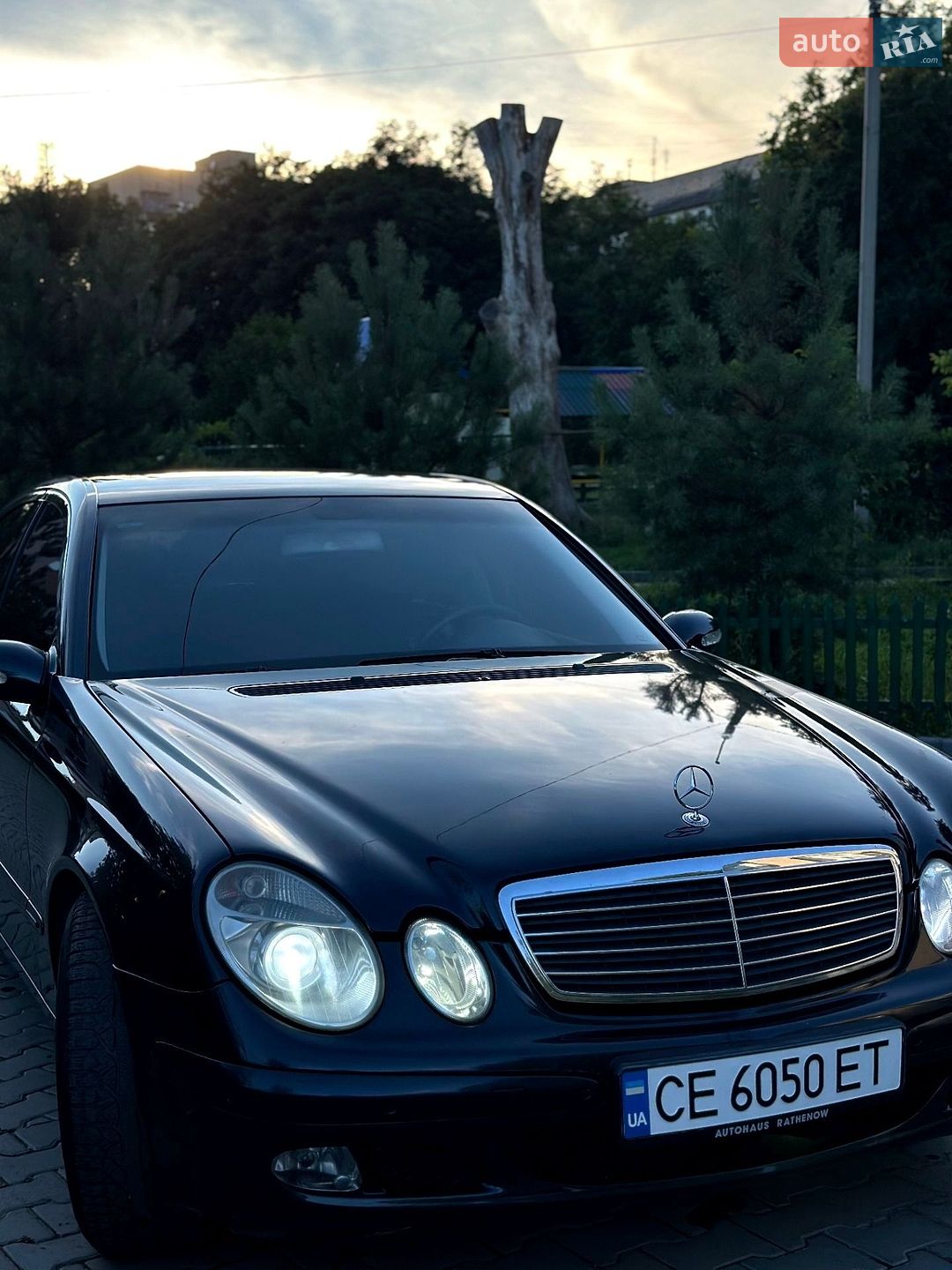 Mercedes-Benz E-Class 2004 VIN WDB2110061A602012 фото оголошення 4 з 43