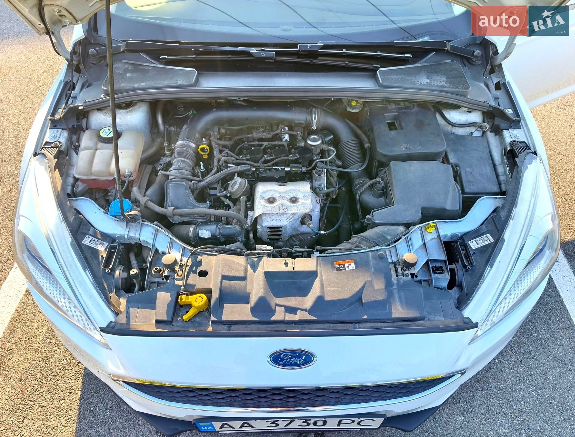 Ford Focus 2016 VIN WF06XXGCC6GC89813 фото оголошення 20 з 21