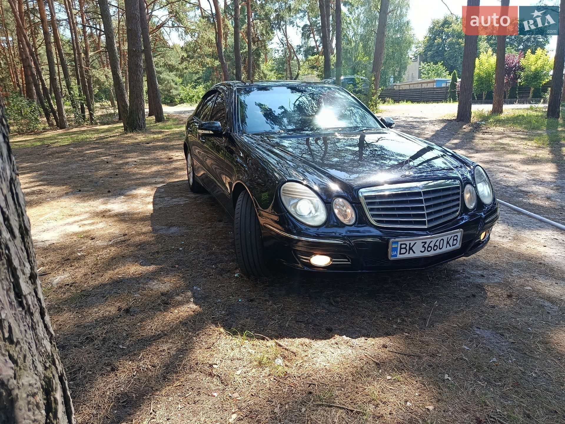 Mercedes-Benz E-Class 2007 VIN WDB2110071B166701 фото оголошення 6 з 28
