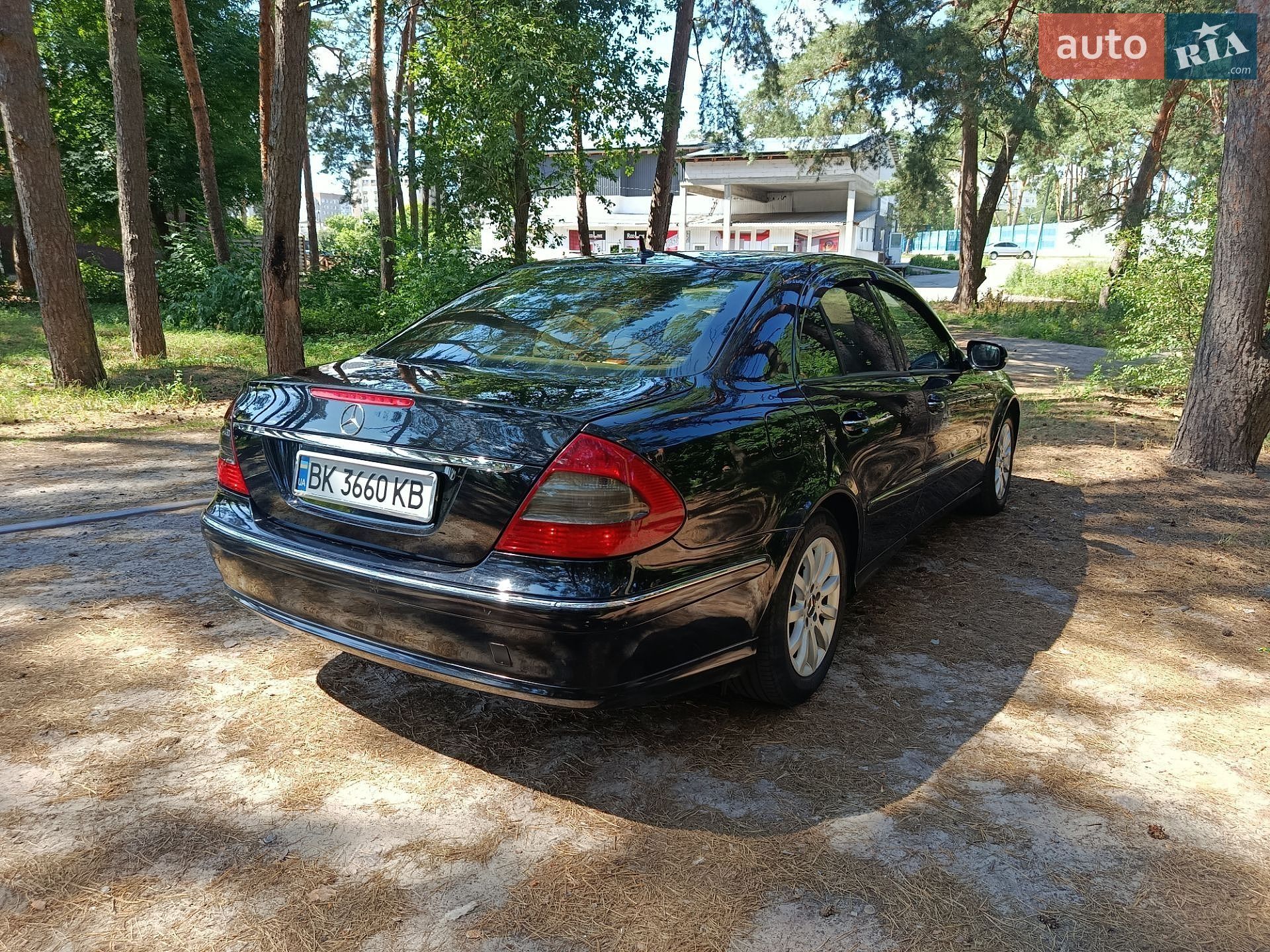 Mercedes-Benz E-Class 2007 VIN WDB2110071B166701 фото оголошення 13 з 28