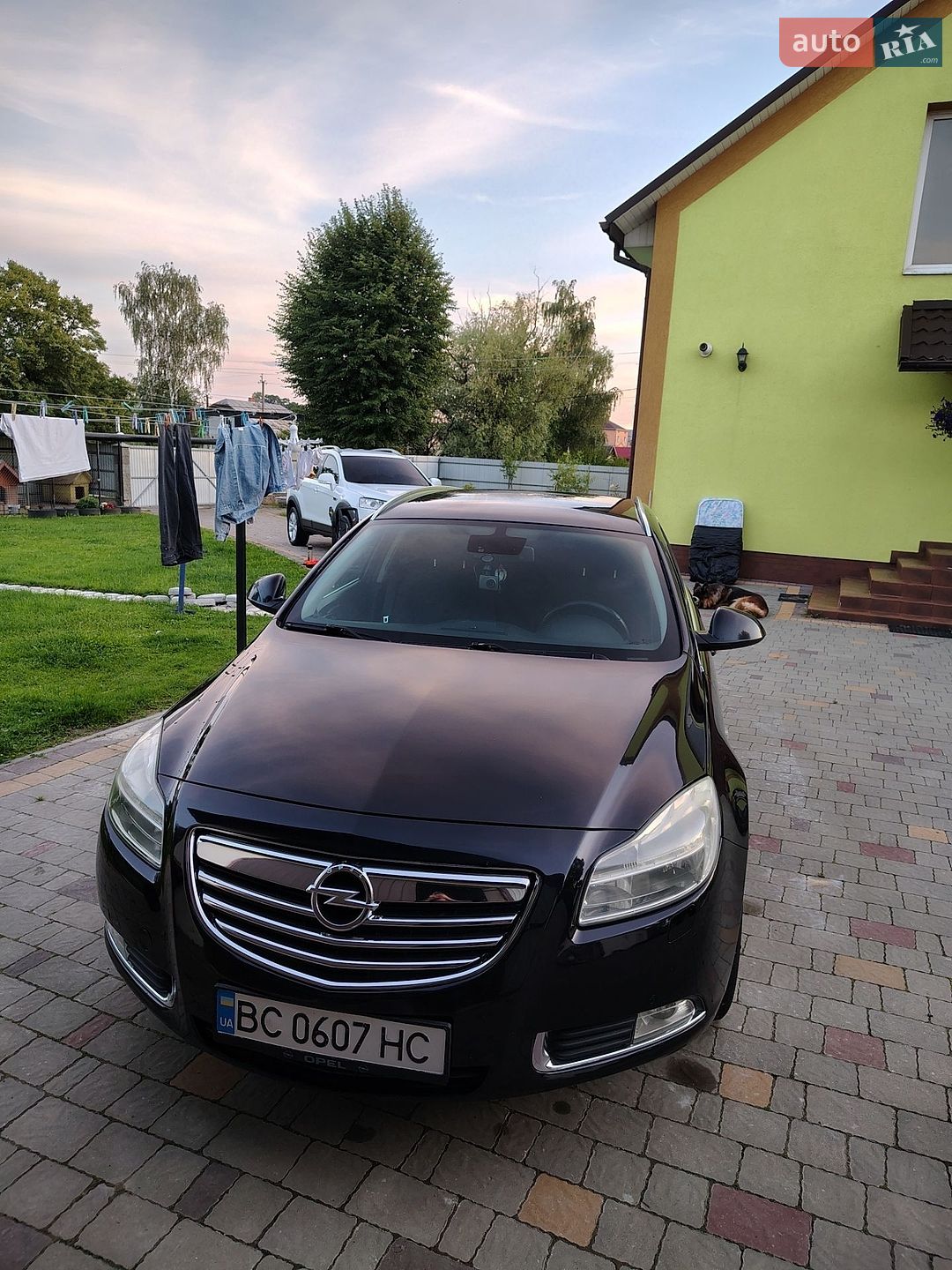 Opel Insignia 2009 VIN W0LGM87K391064533 фото оголошення 11 з 16