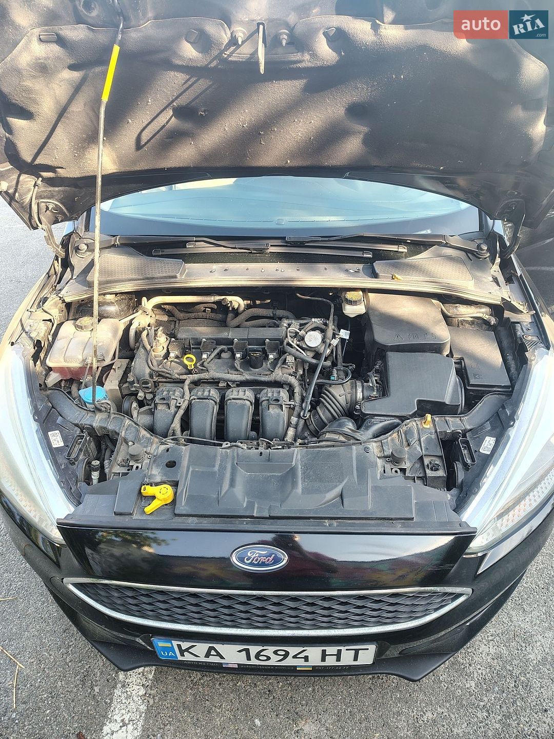 Ford Focus 2017 VIN 1FADP3F26HL279364 фото оголошення 31 з 33
