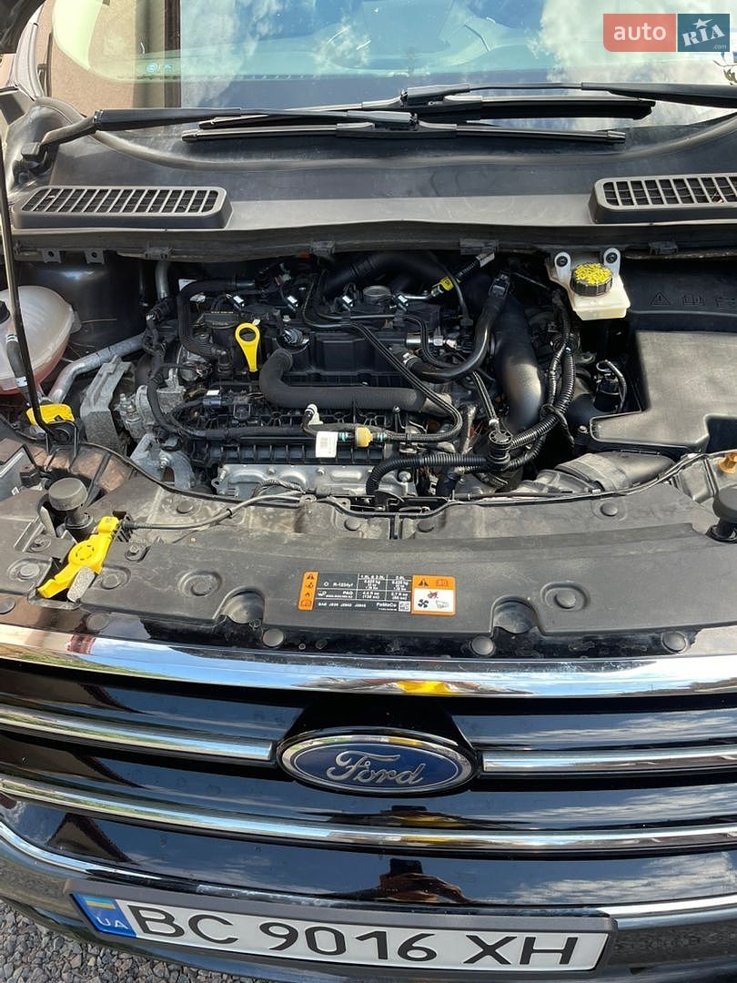 Ford Escape 2019 VIN 1FMCU0GD8KUB26706 фото оголошення 15 з 15