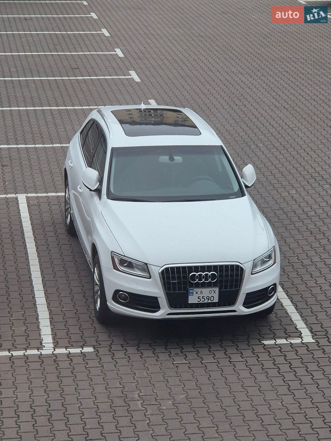 Audi Q5 2013 VIN WA1LFCFP4DA096095 фото оголошення 3 з 3