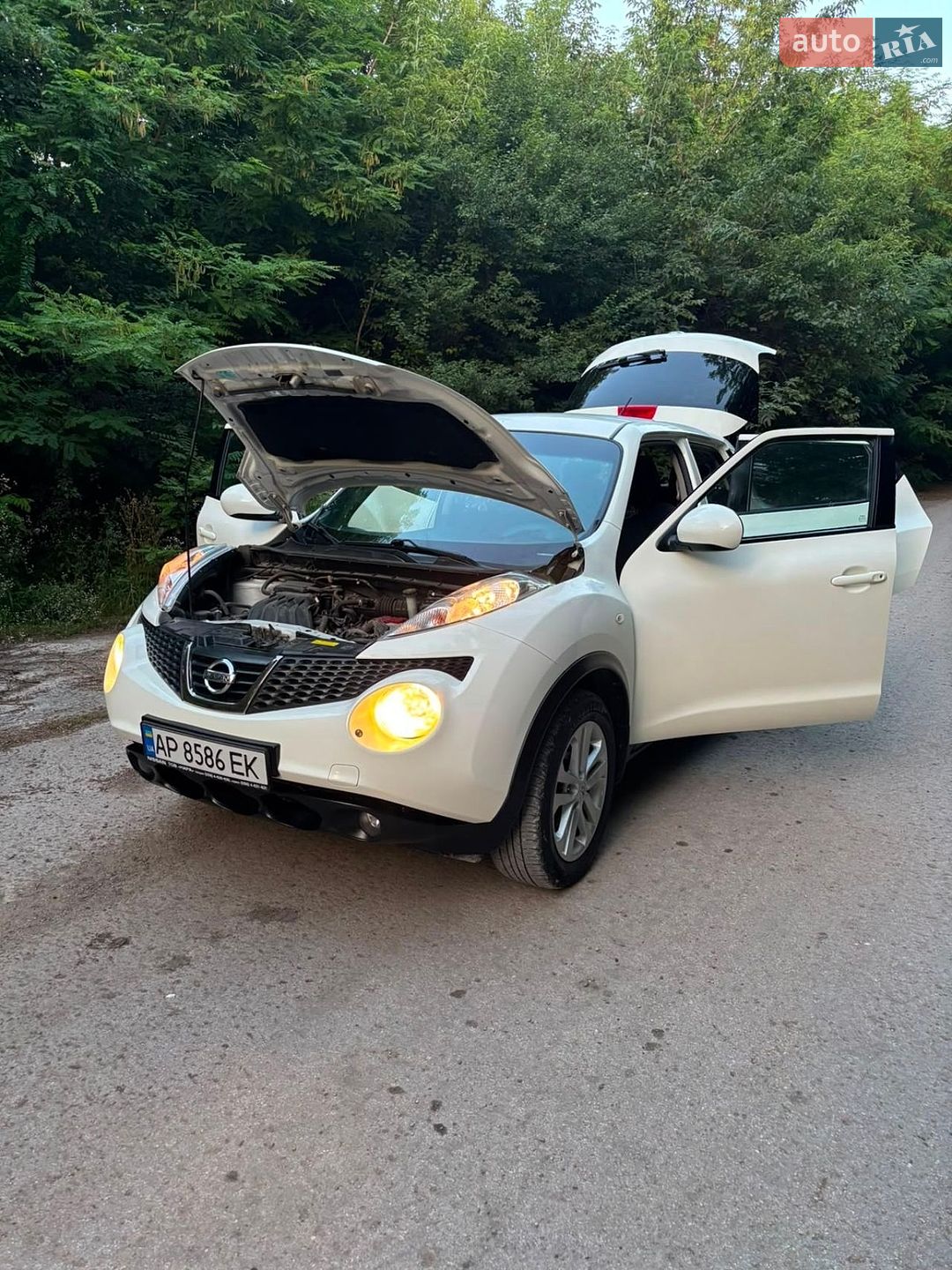 Nissan Juke 2013 VIN SJNFBAF15U6353476 фото оголошення 13 з 19