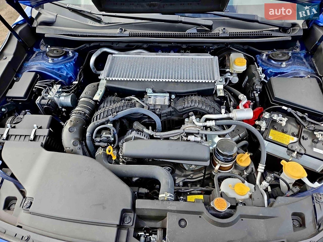 Subaru WRX 2024 VIN JF1VBAH62R9818696 фото оголошення 8 з 8