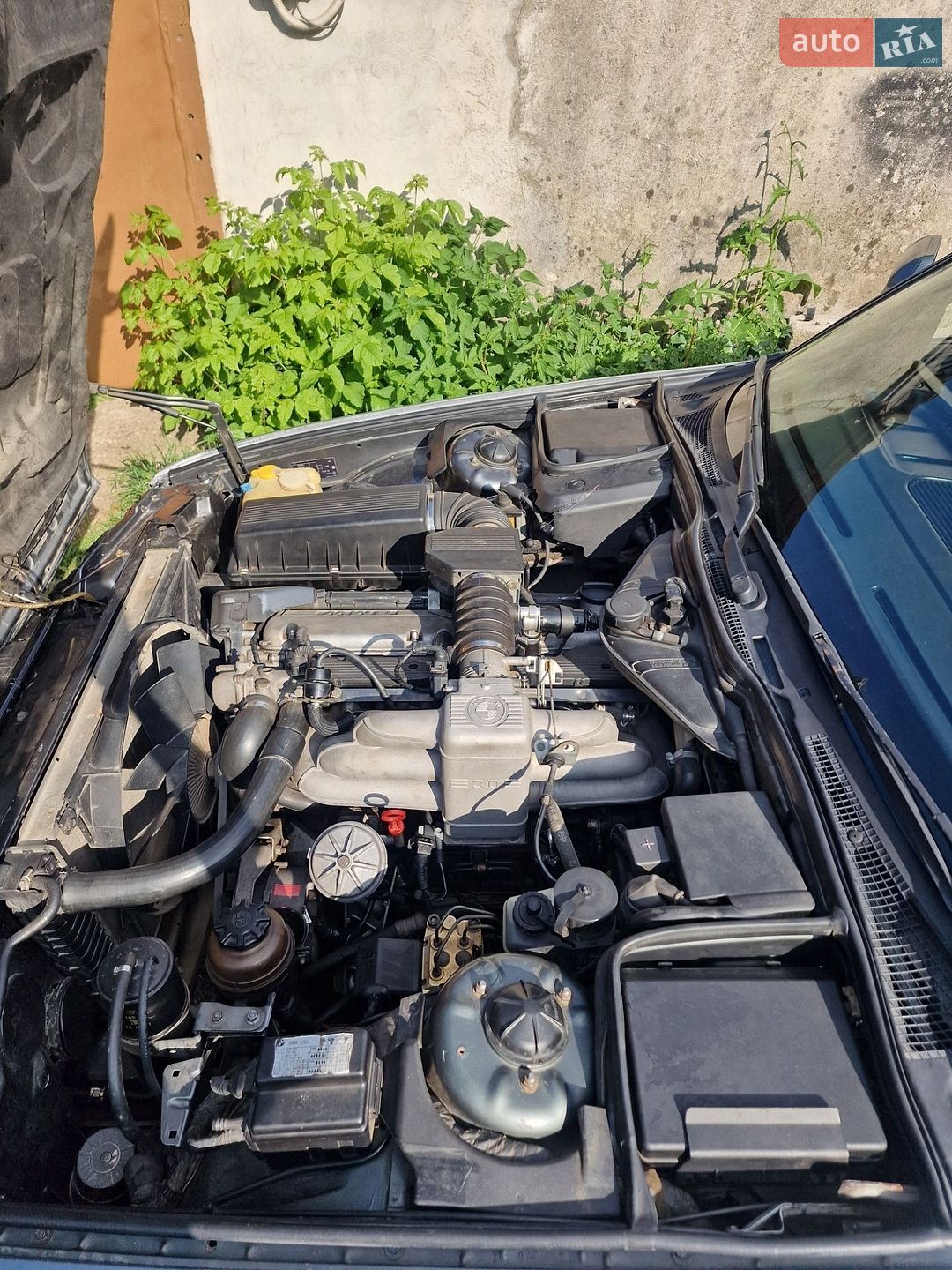 BMW 5 Series 1990 VIN WBAHC510303524082 фото оголошення 48 з 50