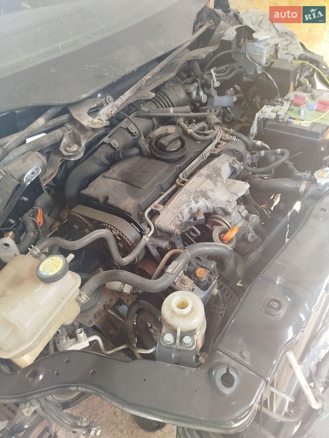 Mitsubishi Grandis 2006 VIN JMBLJNA8W6Z013231 фото оголошення 17 з 18