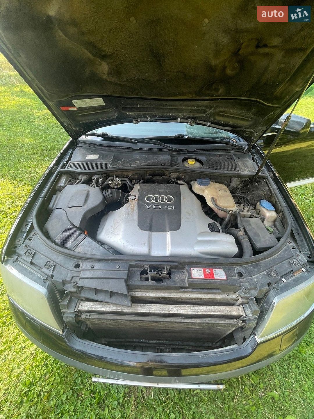 Audi A6 Allroad 2001 VIN WAUZZZ4BZ1N126265 фото оголошення 6 з 34