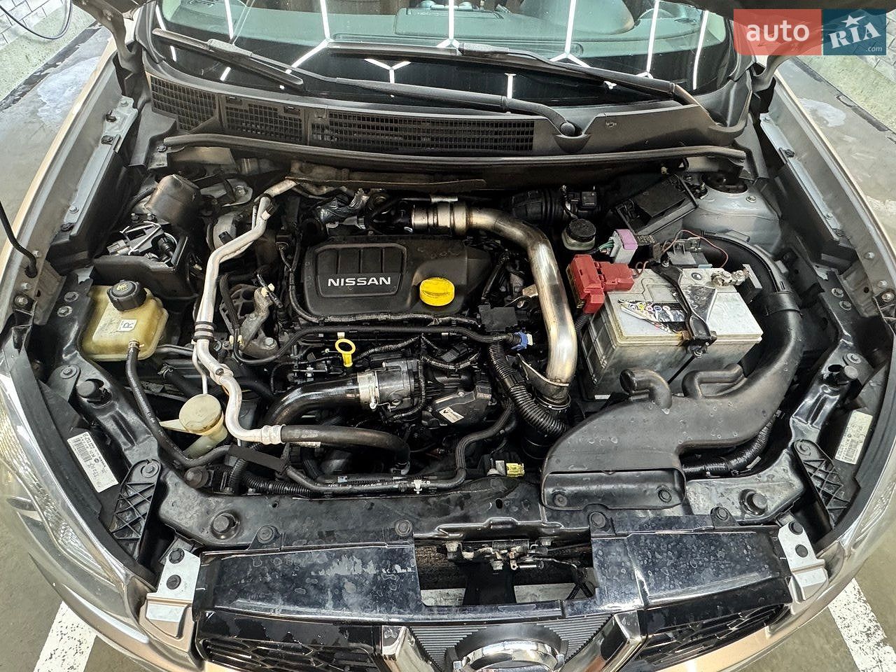 Nissan Qashqai+2 2012 VIN SJNJEAJ10U7135980 фото оголошення 26 з 26