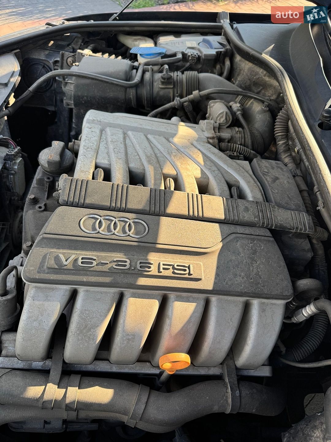 Audi Q7 2007 VIN WAUZZZ4L38D004843 фото оголошення 11 з 25