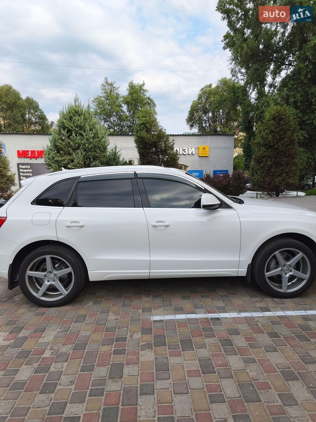 Audi Q5 2009 VIN WA1LKAFP6AA040381 фото оголошення 39 з 42