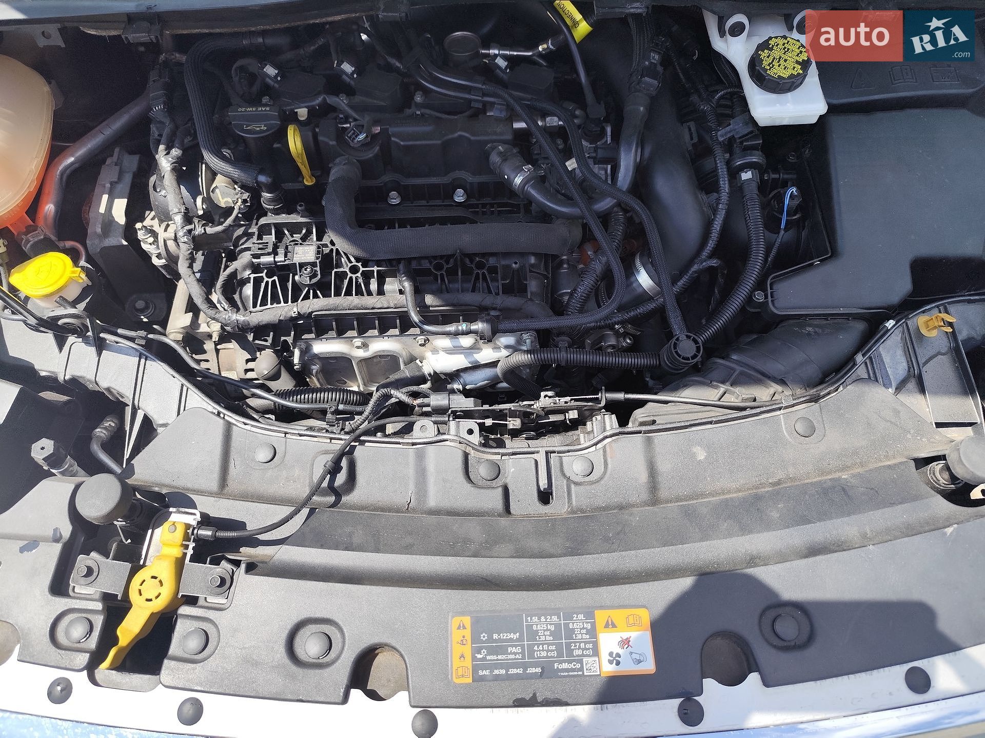 Ford Escape 2019 VIN 1FMCU0GD4KUA47937 фото оголошення 20 з 23