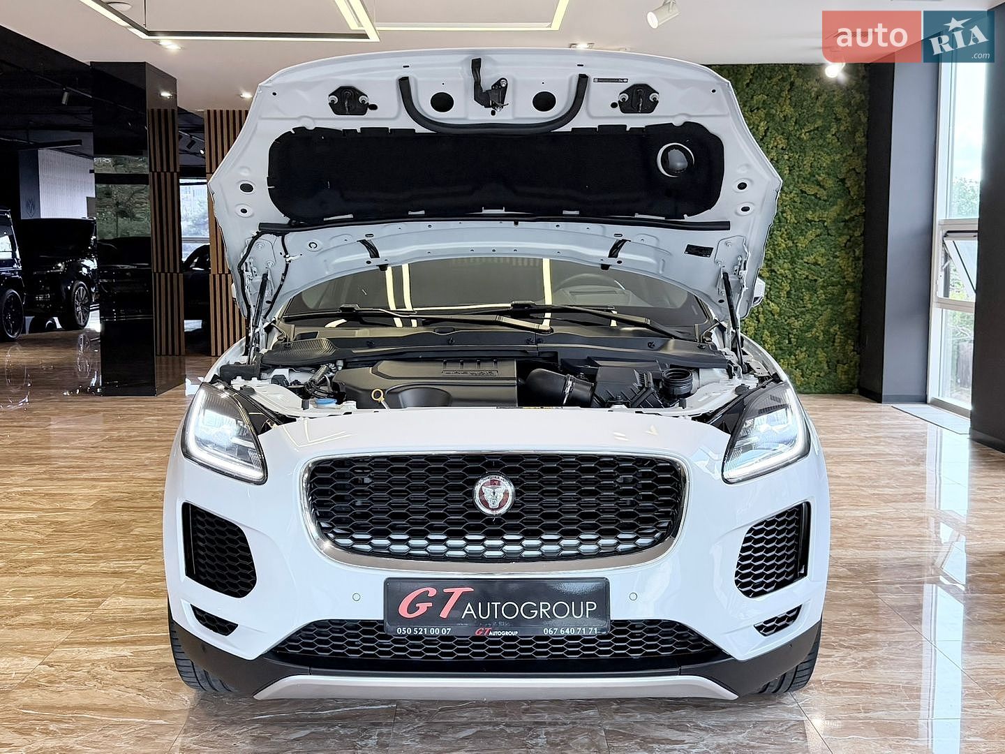 Jaguar E-Pace 2017 VIN SADFJ2FX7J1Z01566 фото оголошення 67 з 68