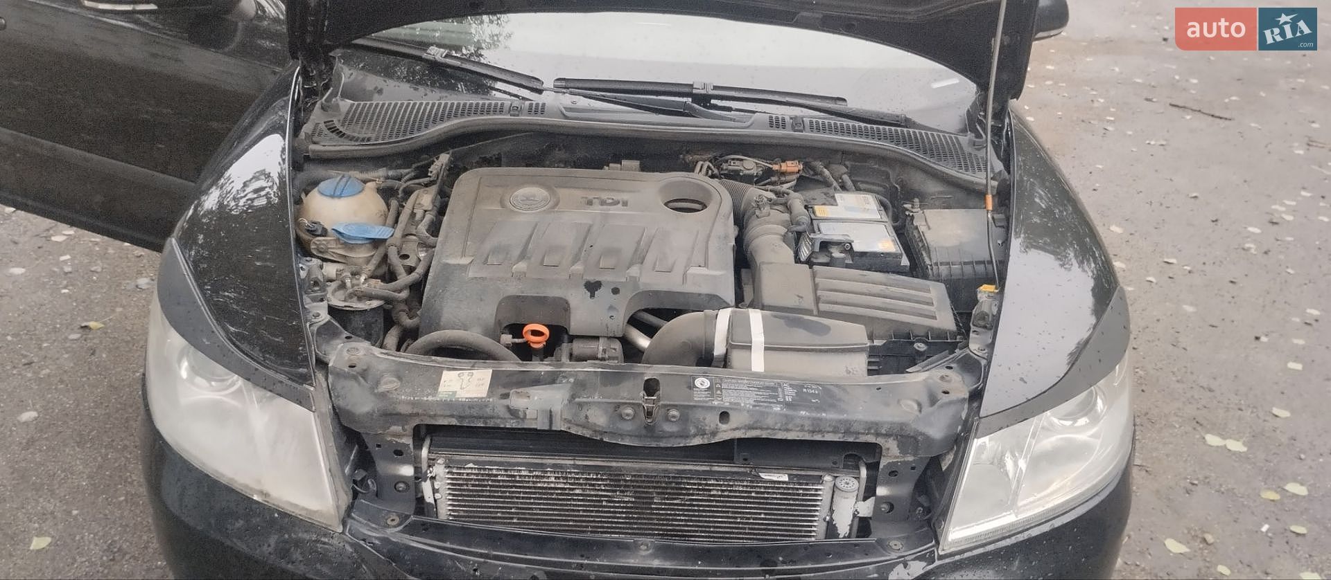 Skoda Octavia 2012 VIN TMBHE61Z6C2122133 фото оголошення 19 з 22
