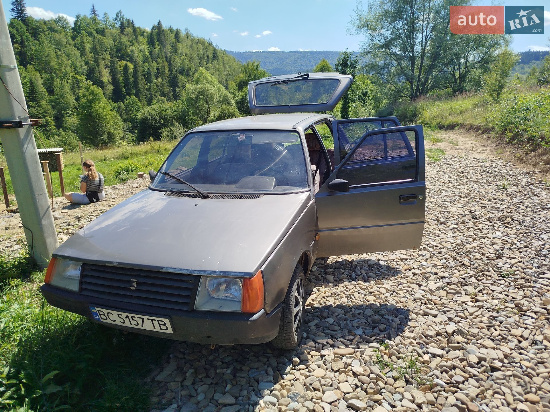 ЗАЗ 1105 Дана 1994 VIN XTE110500R0002603 фото оголошення 5 з 21