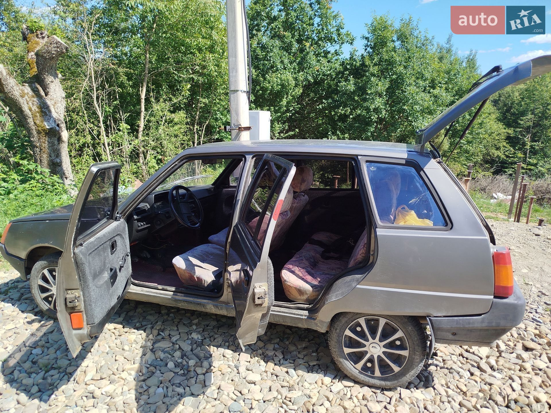 ЗАЗ 1105 Дана 1994 VIN XTE110500R0002603 фото оголошення 2 з 21